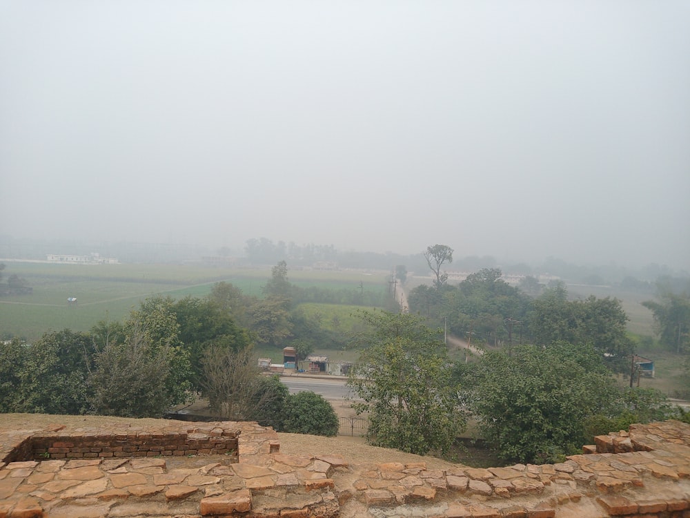 a foggy view of a stone wall and trees