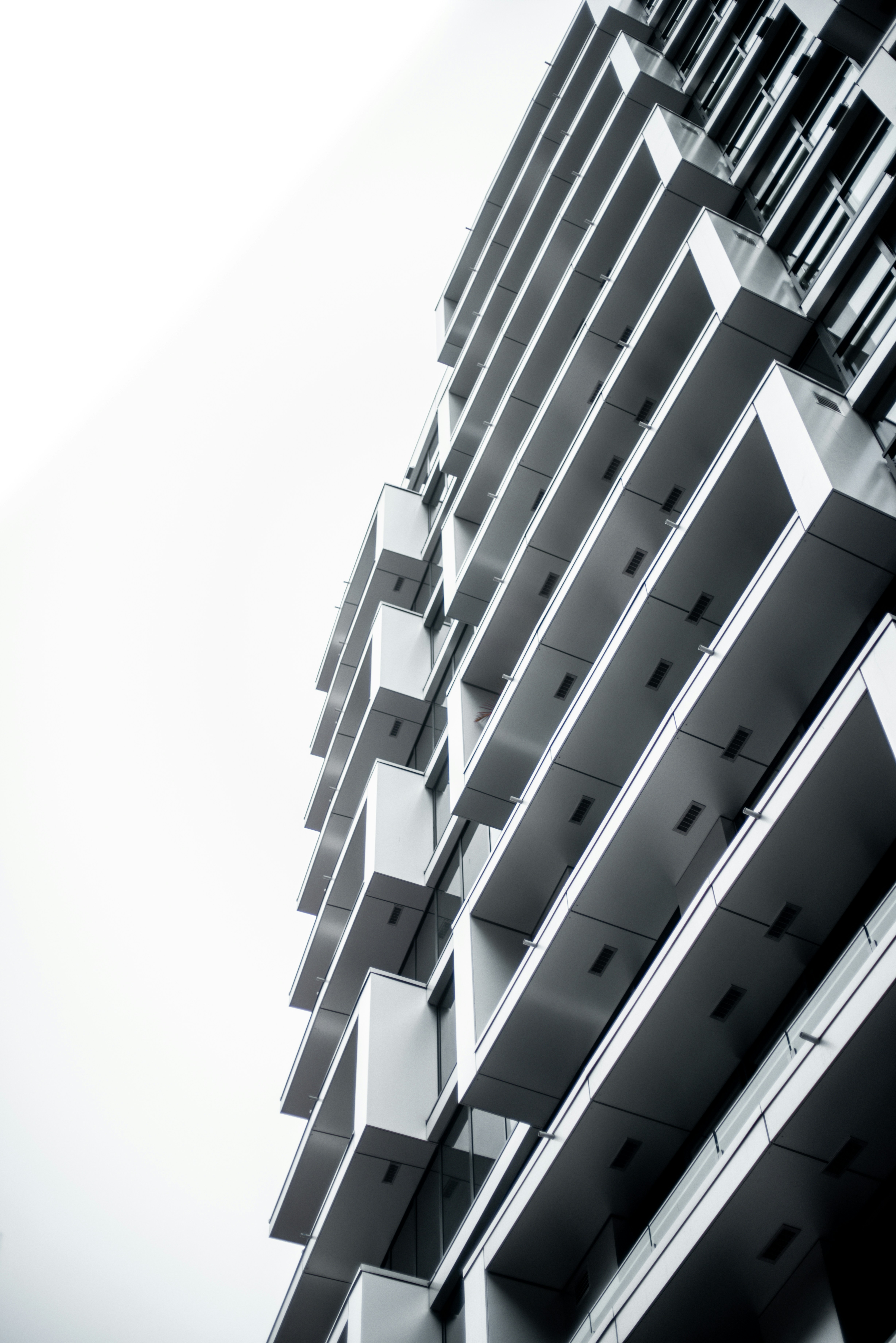 Photo by john_vicente26