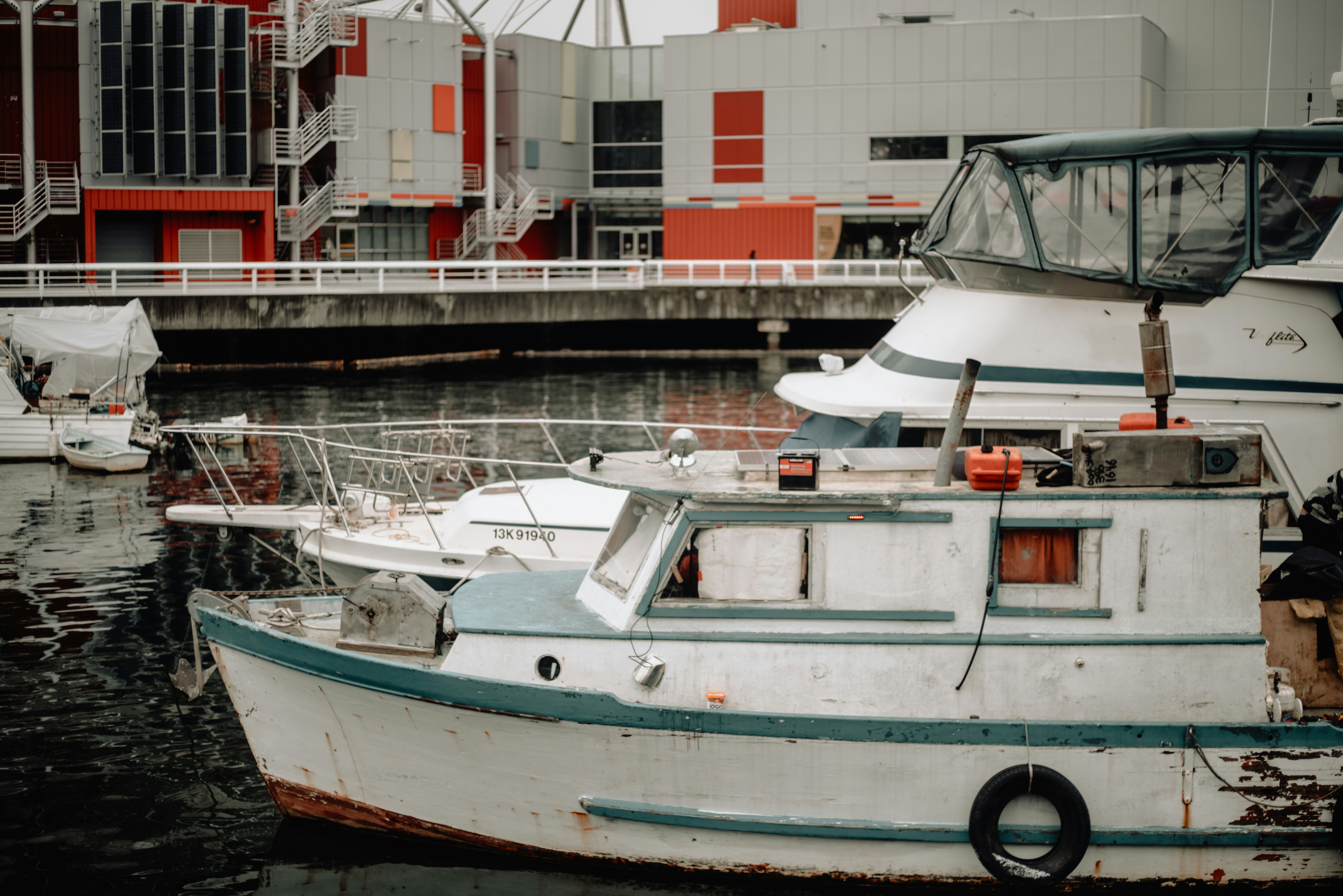 Photo by john_vicente26