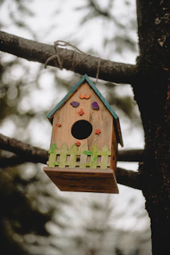 Close-up of a hand-painted wooden birdhouse with playful patterns.