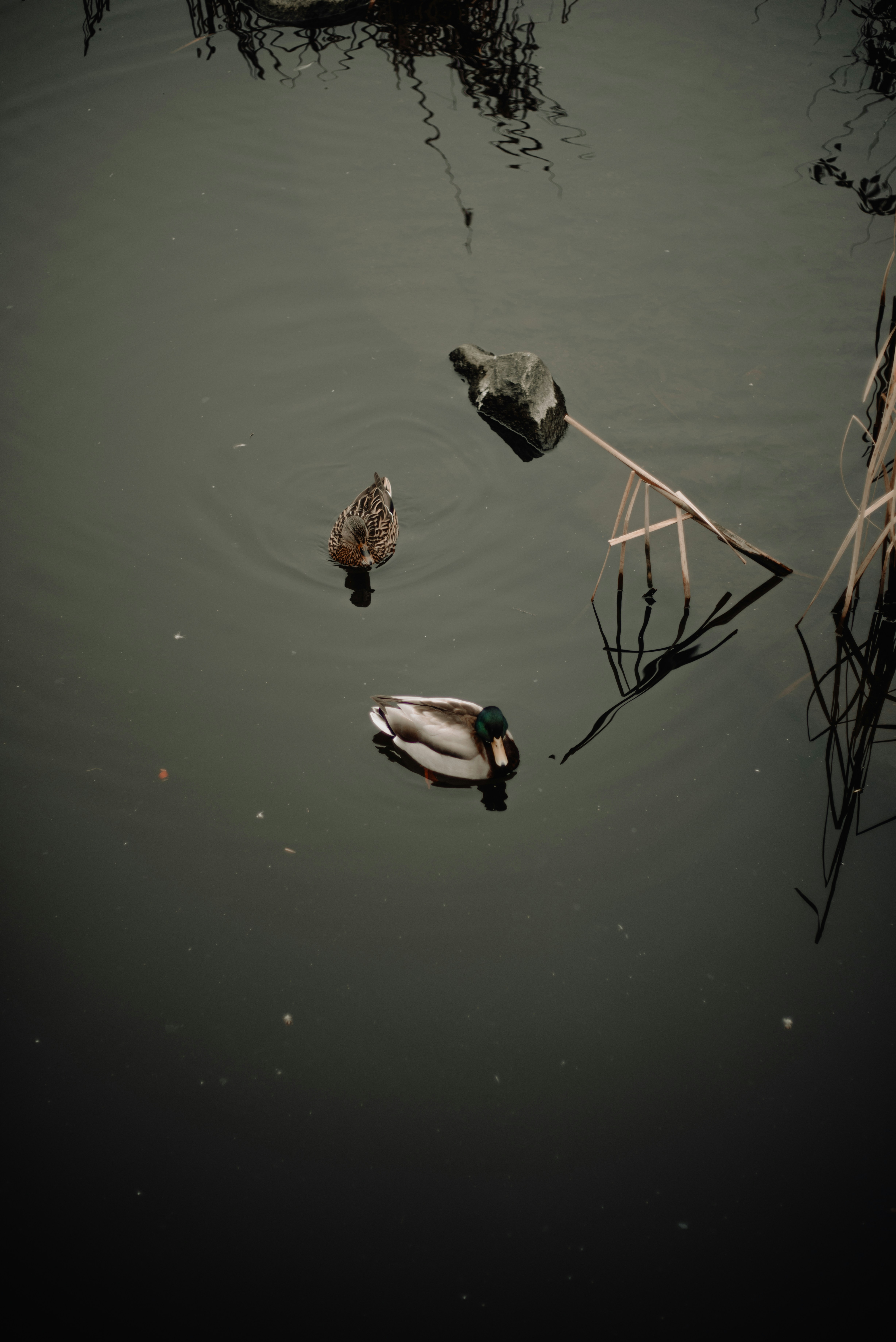 Photo by john_vicente26