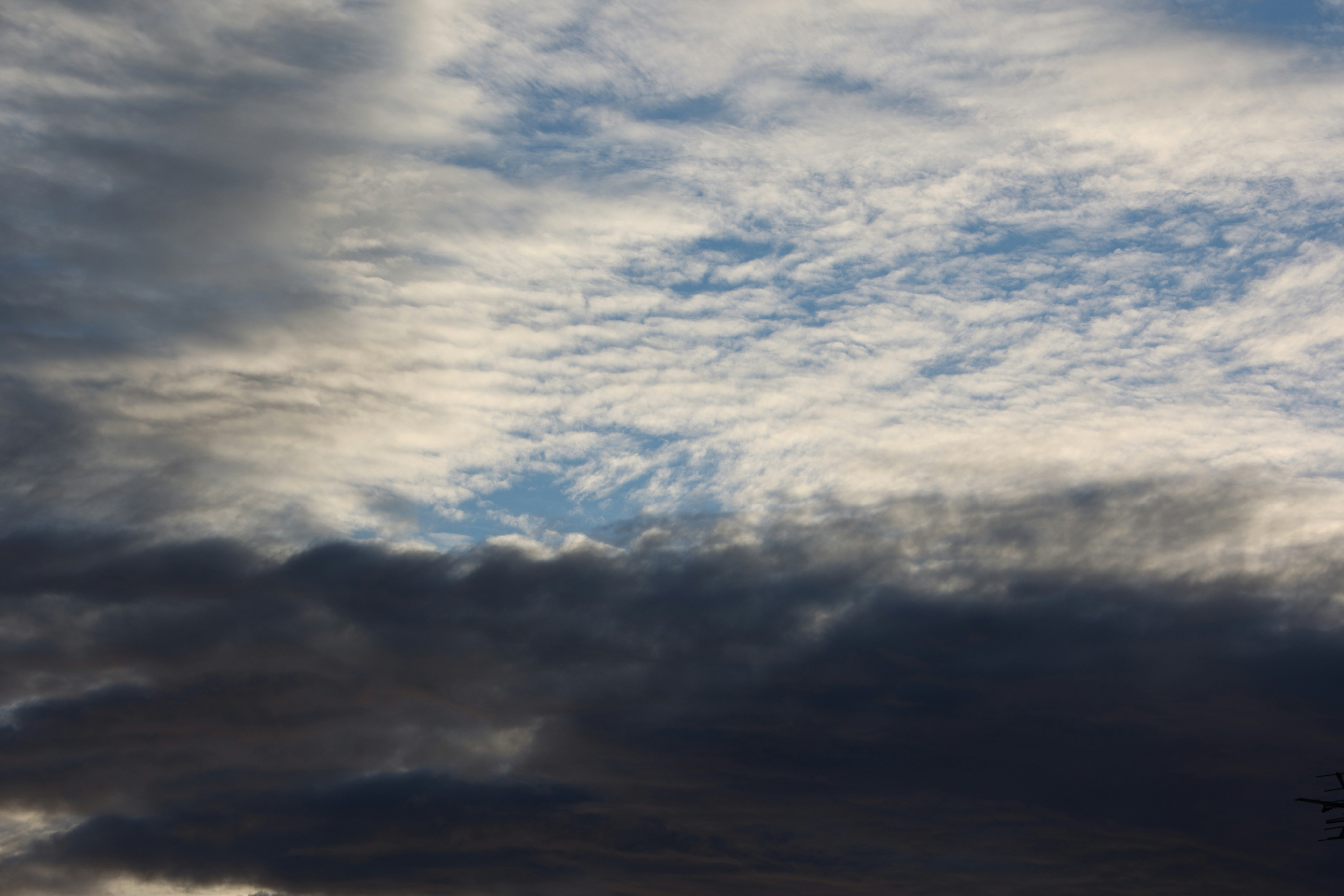 Photo by paola_canasvaladez