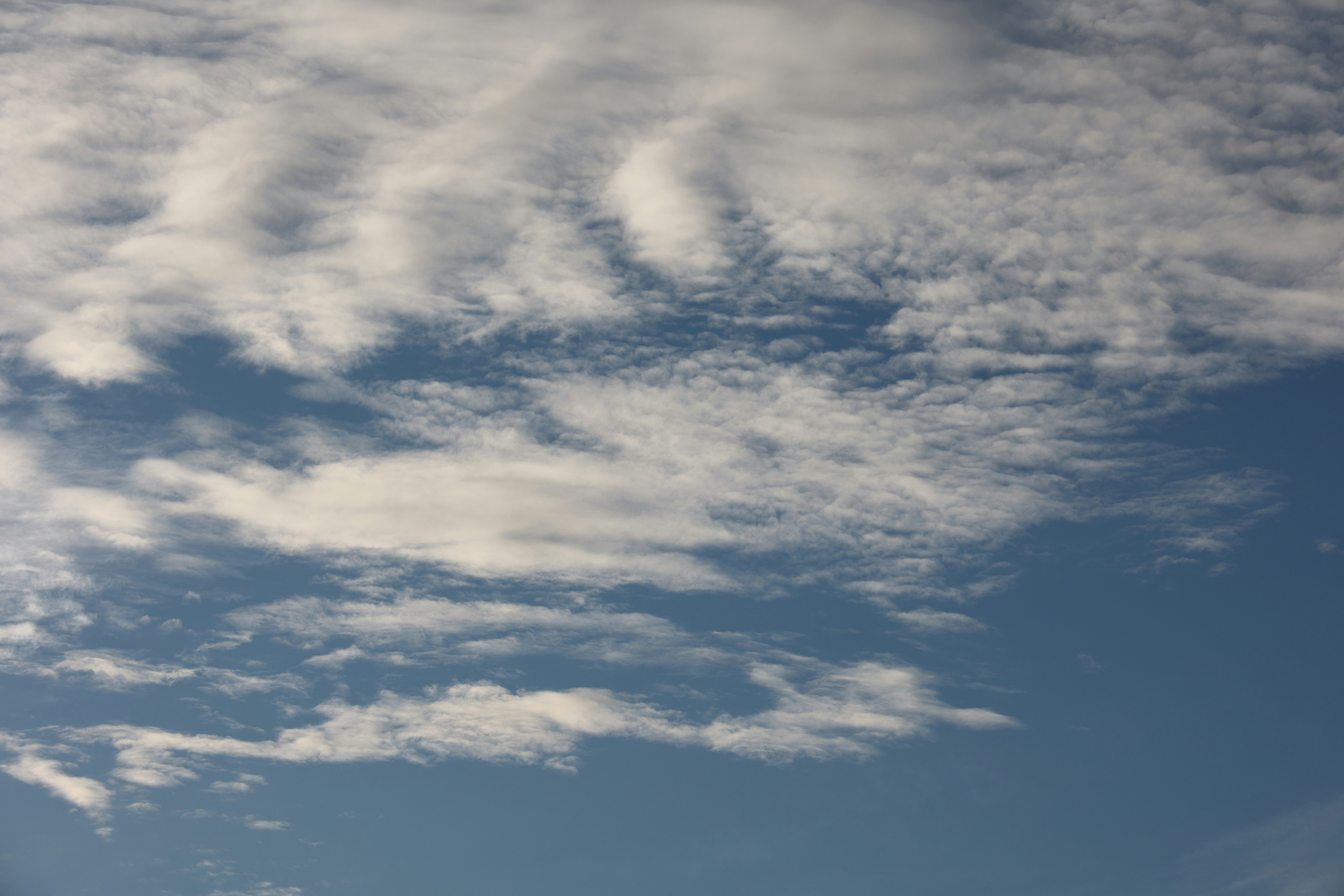 Photo by paola_canasvaladez