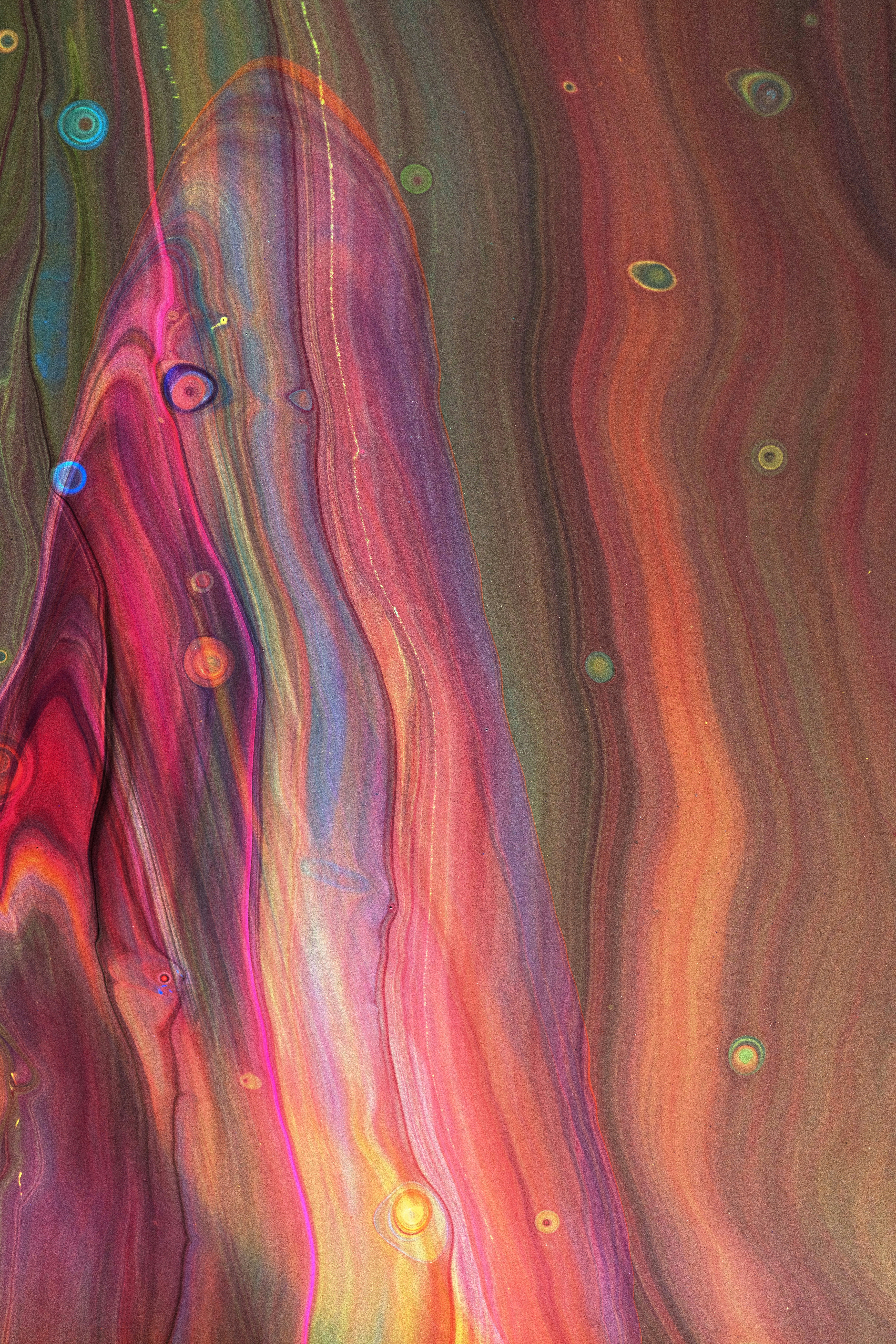 Photo by solenfeyissa