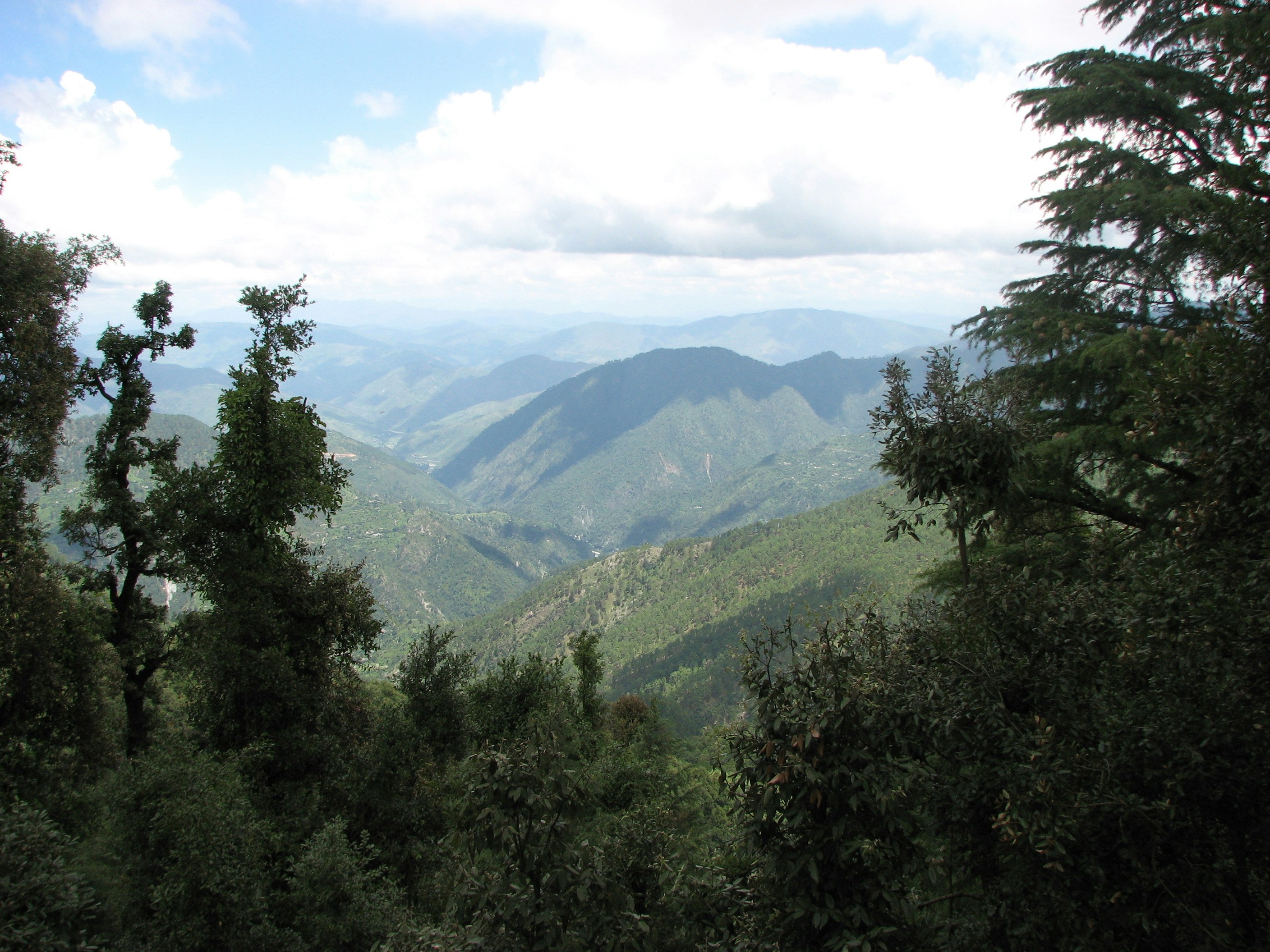 Photo by vijay_kumar_gaba