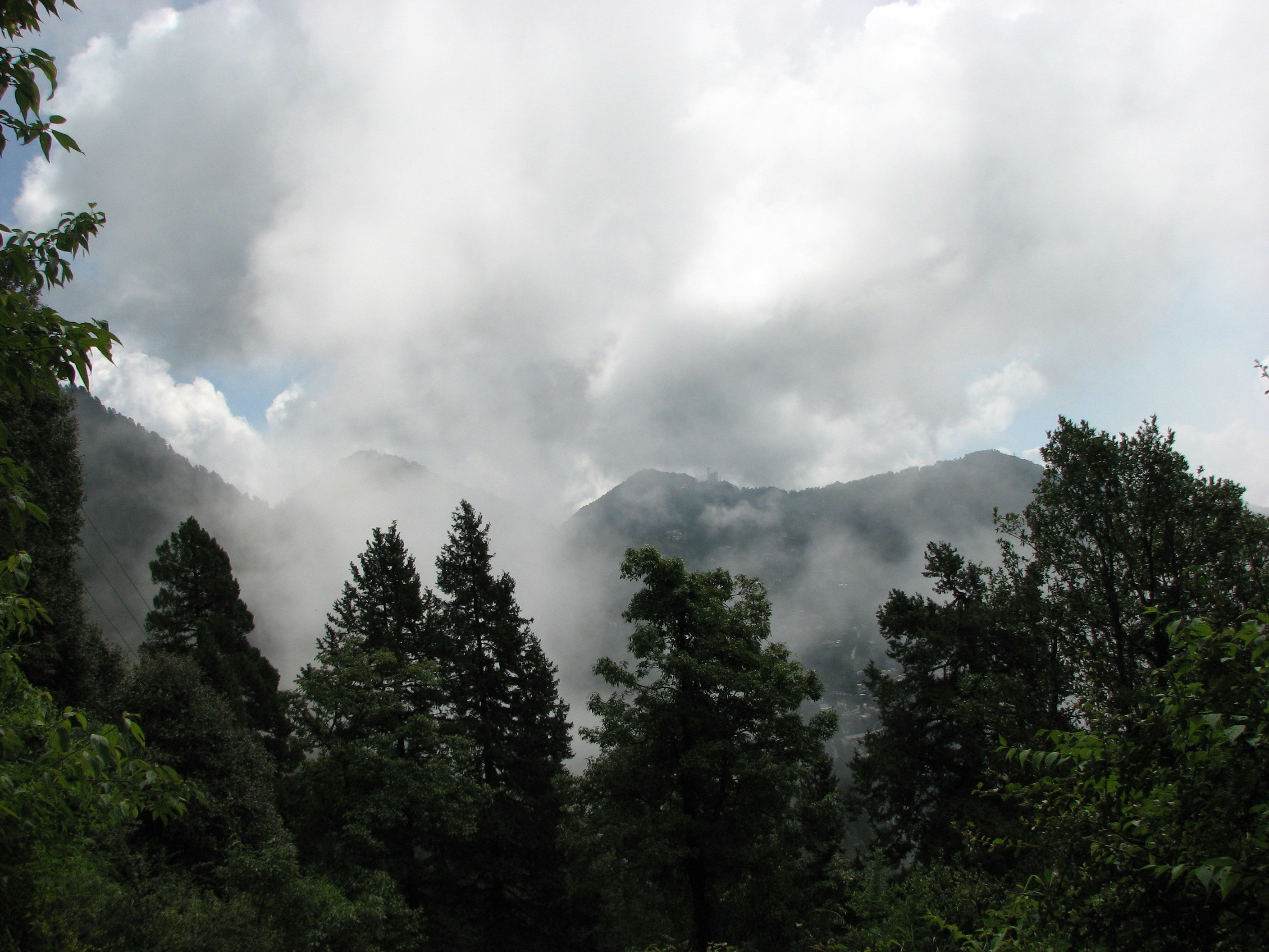 Photo by vijay_kumar_gaba