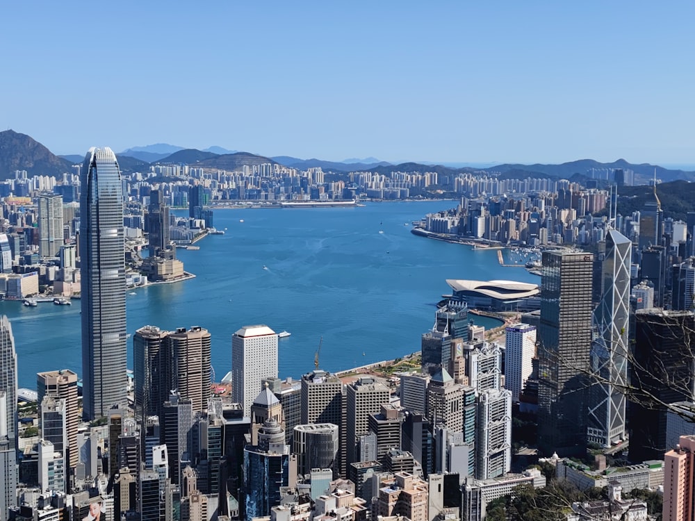 a large body of water surrounded by tall buildings