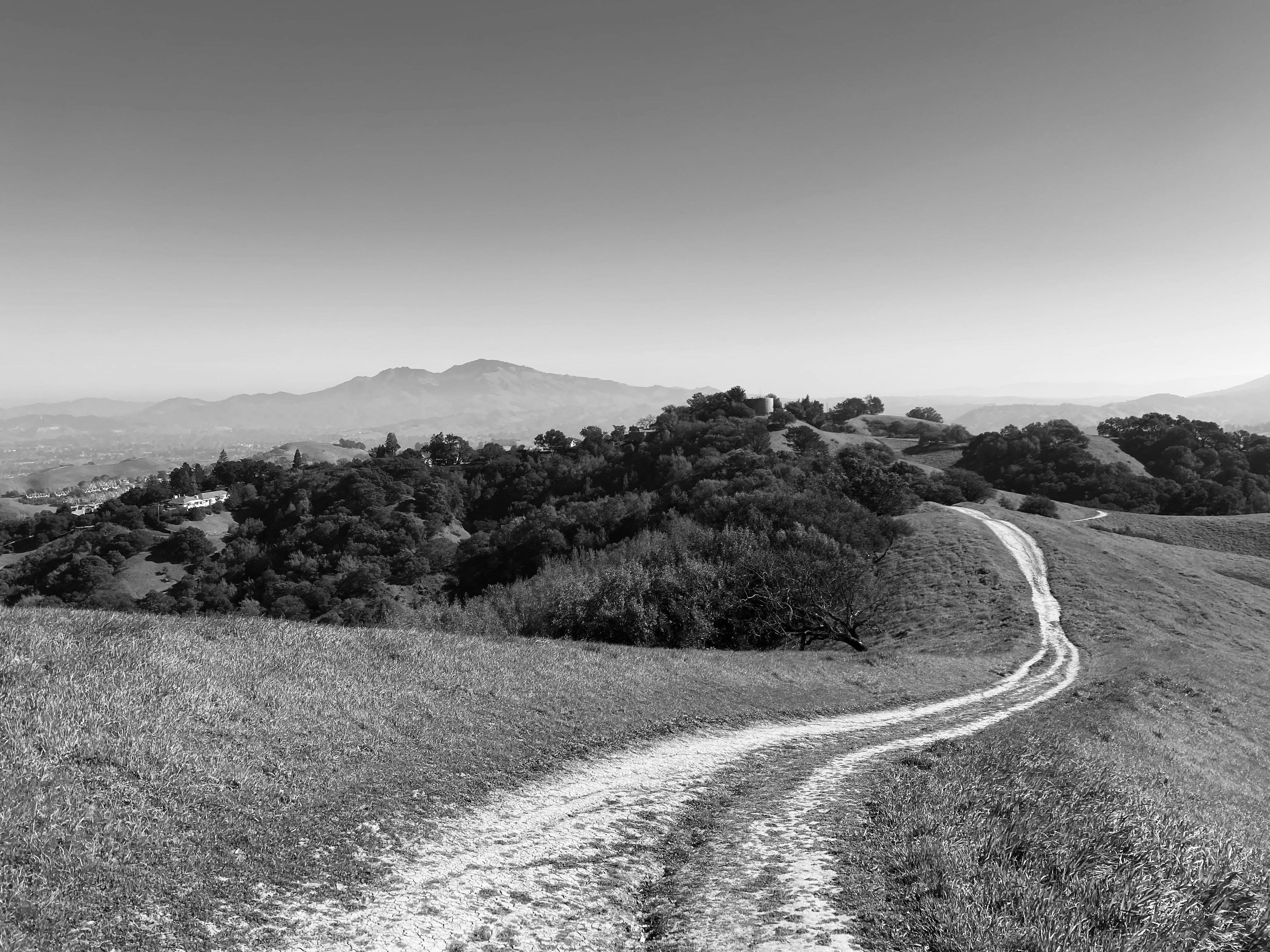 Photo by giorgiotrovato