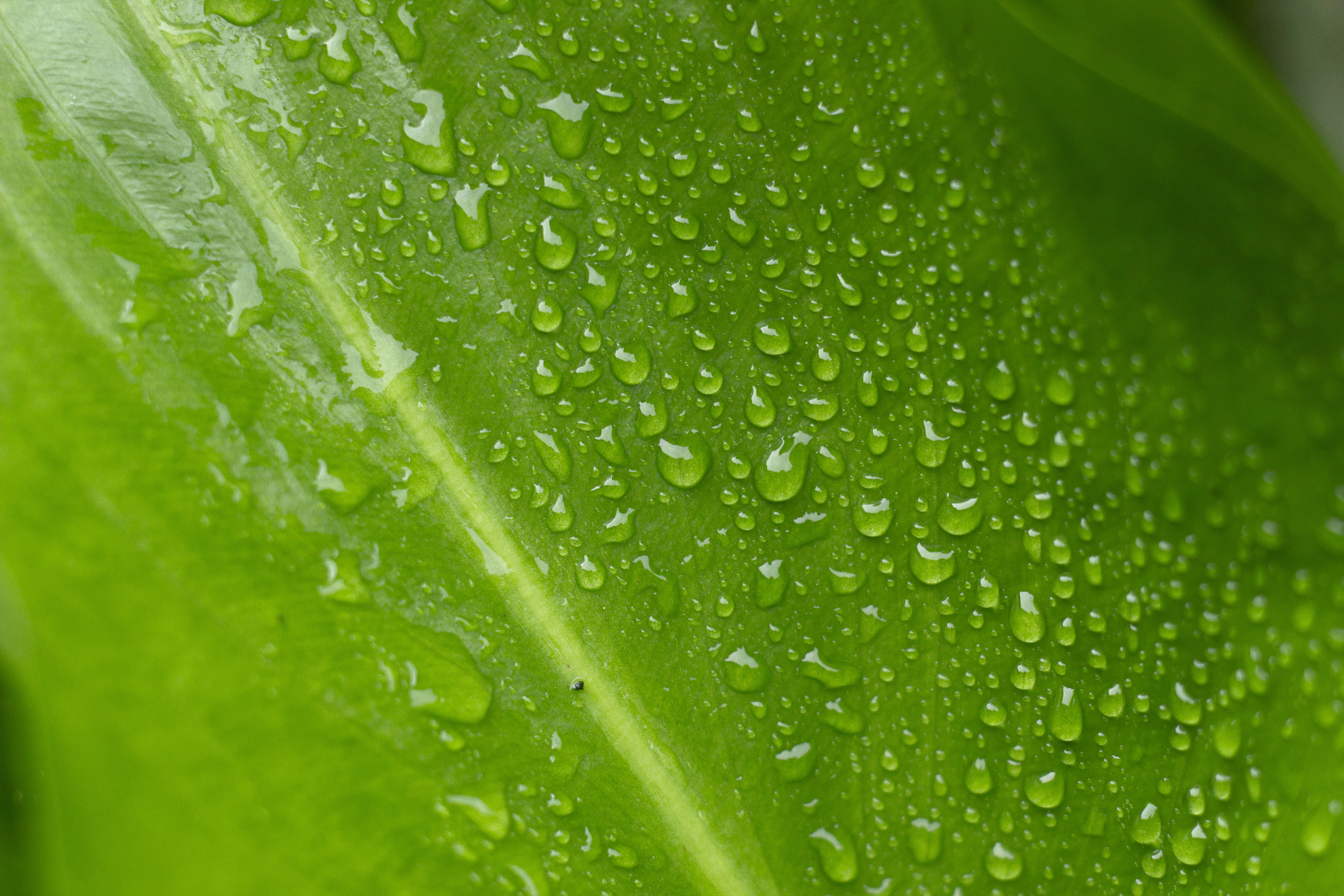 Photo by ilhamabitama