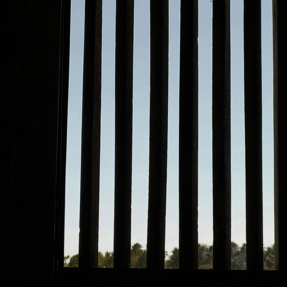 a window with bars on it and trees in the background