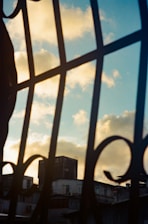 Modern sheet metal fences installed around a stylish rooftop garden at dusk