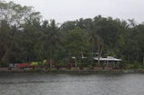 A bungalow surrounded by lush greenery and sandy paths leading to the beach.
