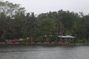 A bungalow surrounded by lush greenery and sandy paths leading to the beach.