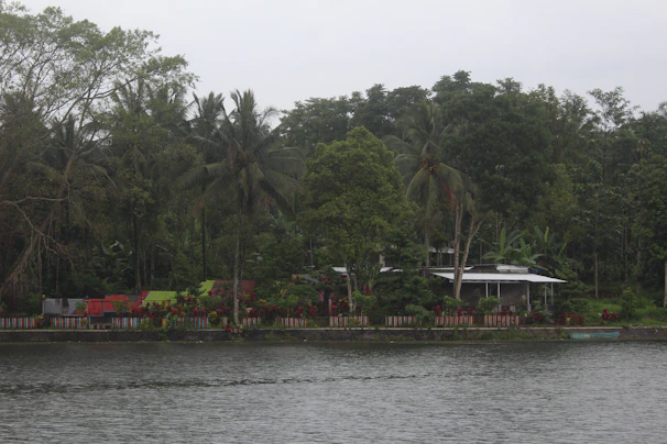 A spacious plot bordered by coconut palms, hinting at tropical tranquility.