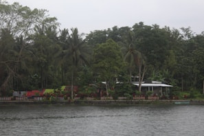 A cozy beachfront bungalow nestled among lush tropical greenery.