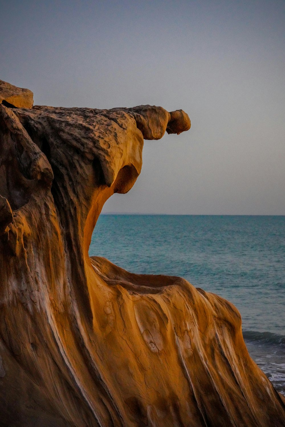 a large tree trunk sitting on top of a beach next to the ocean