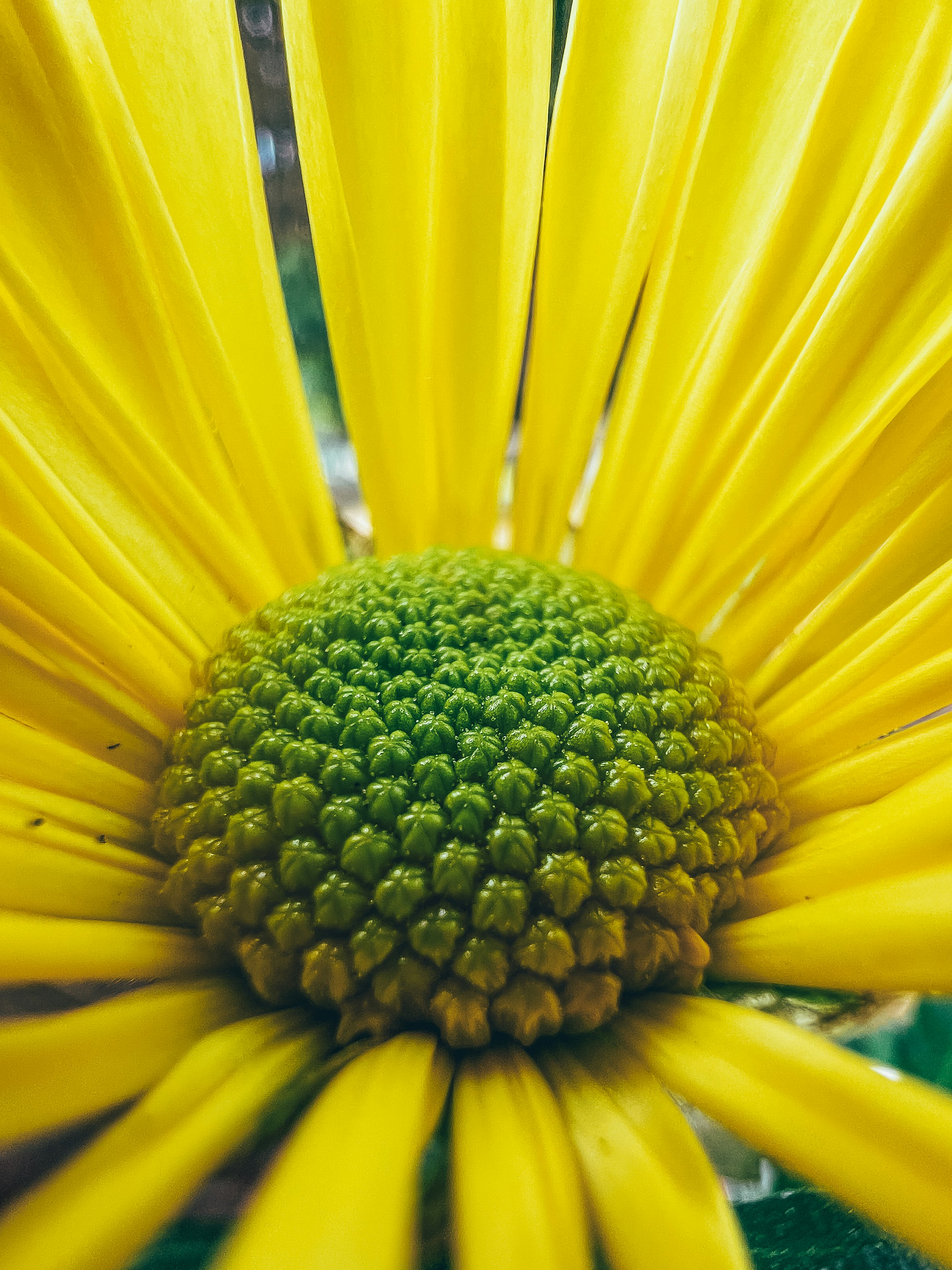 Photo by keronix_raze