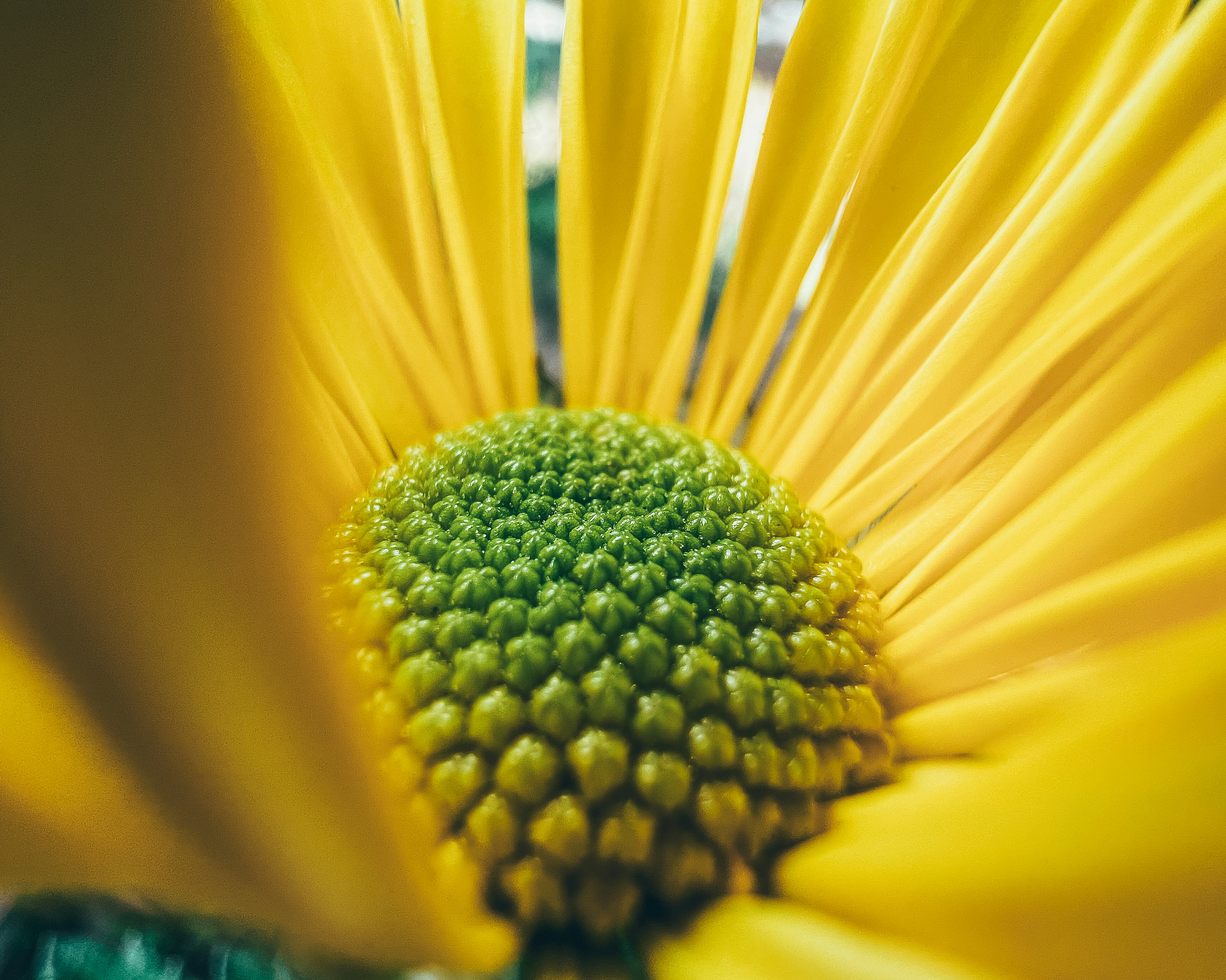 Photo by keronix_raze