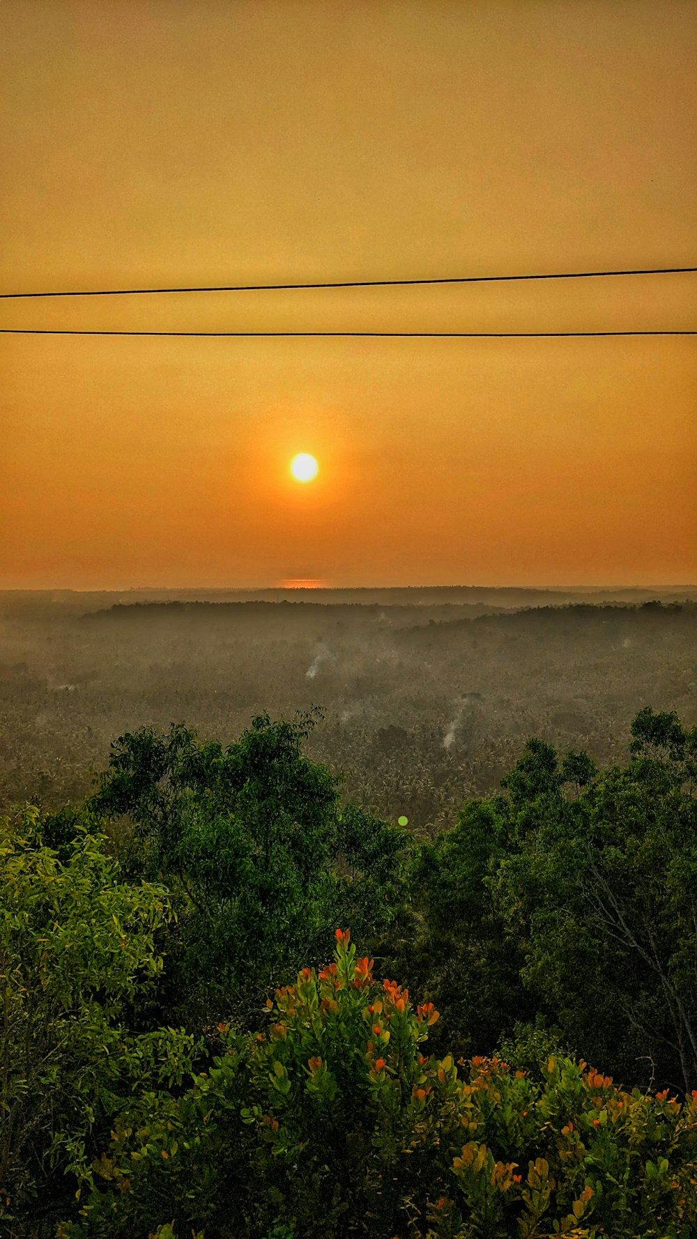 the sun is setting over a foggy forest