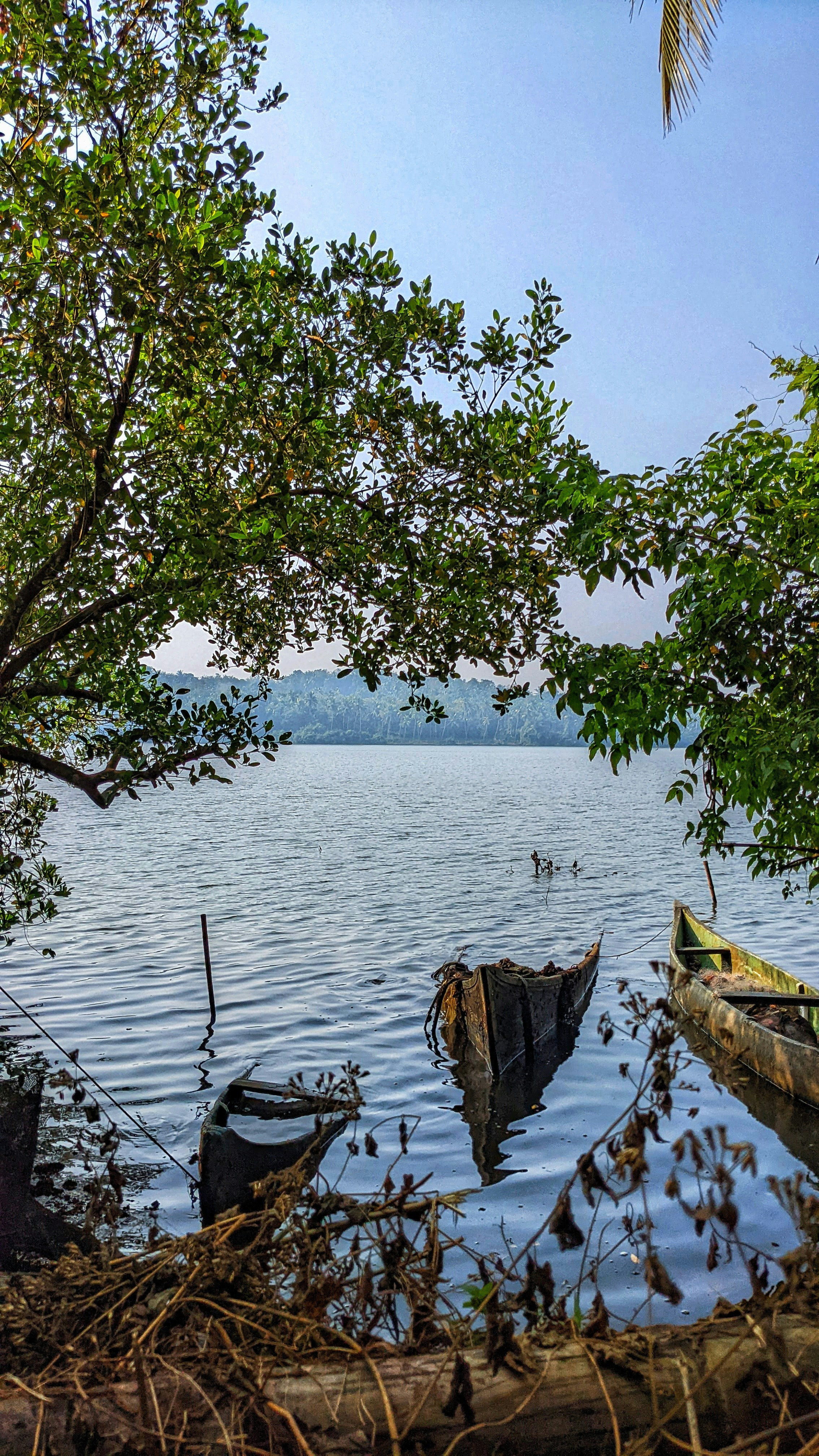 Photo by emmanual_lonewolf