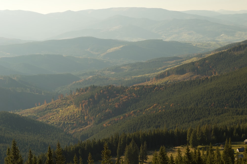 a view of a mountain range with trees in the foreground