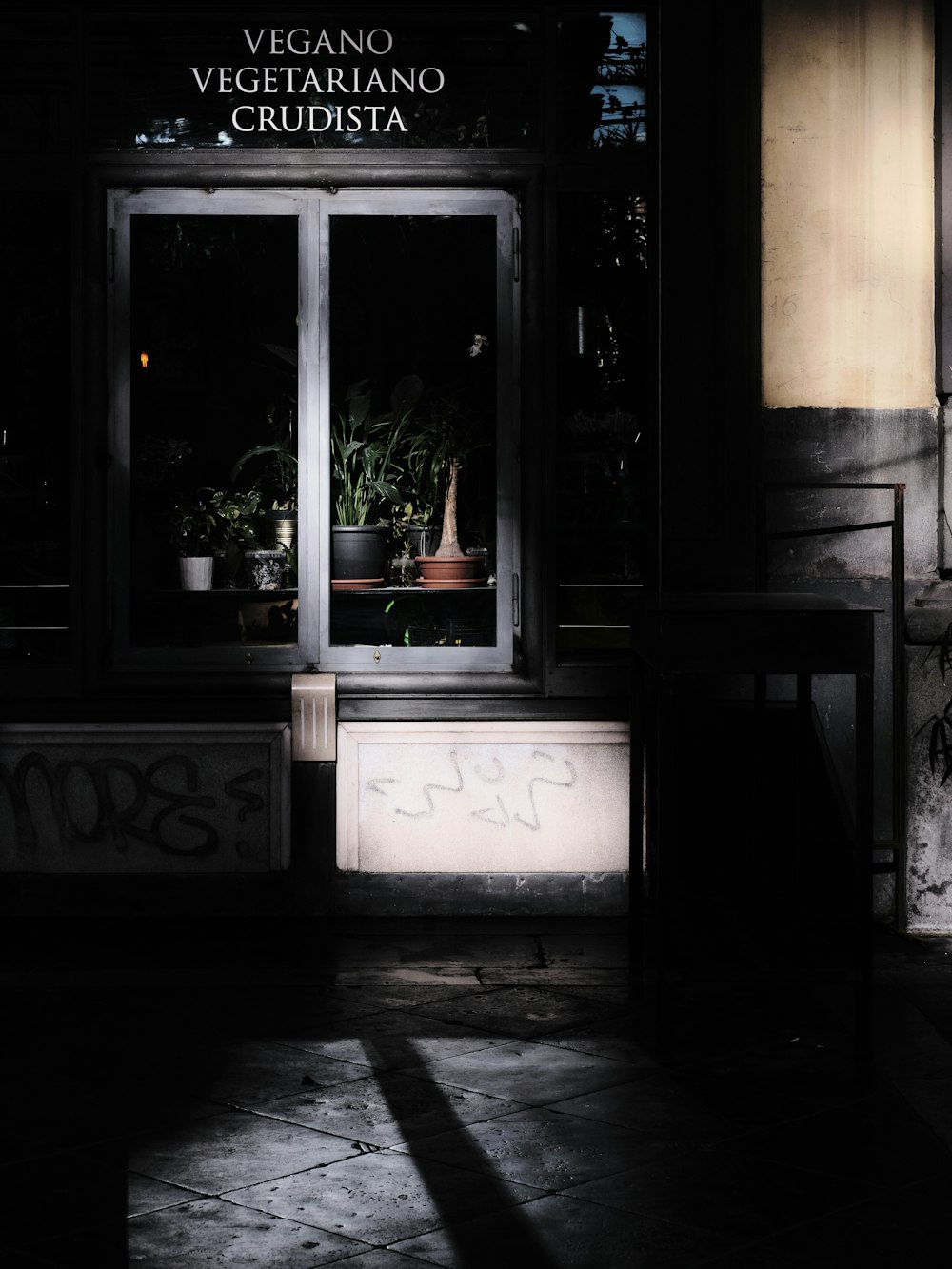 a window with a potted plant in it at night