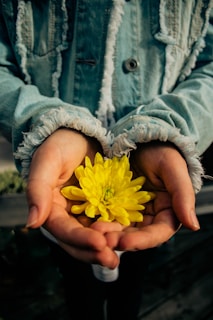 Hands holding a vintage denim jacket with unique patches and wear marks.