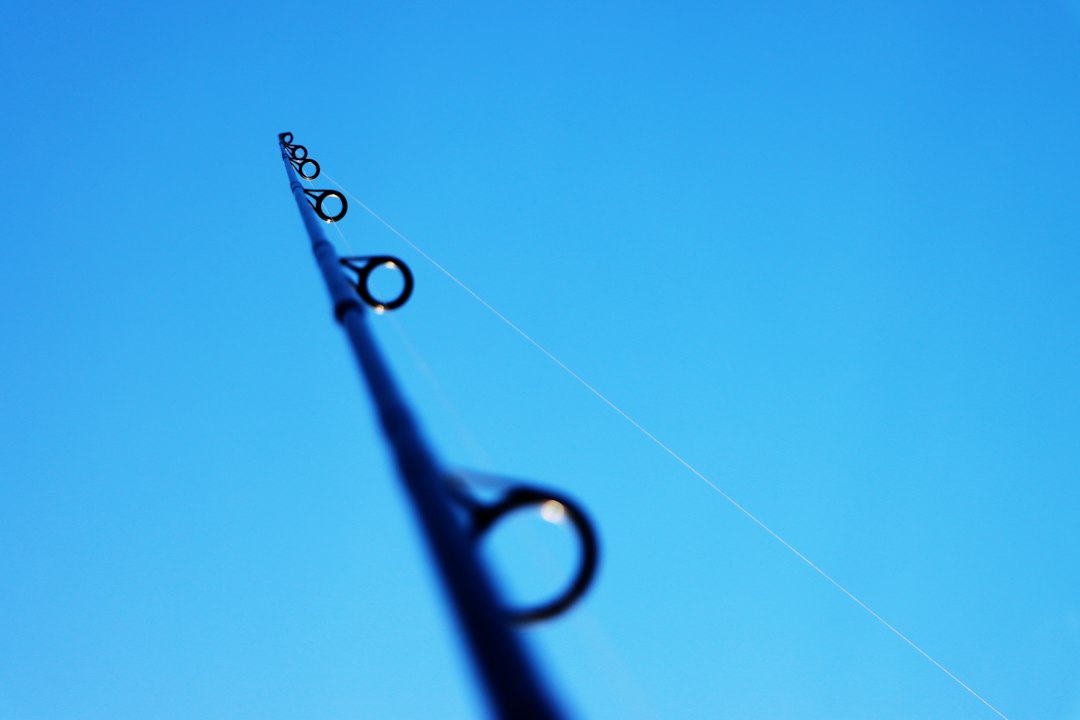 spinning rod closeup