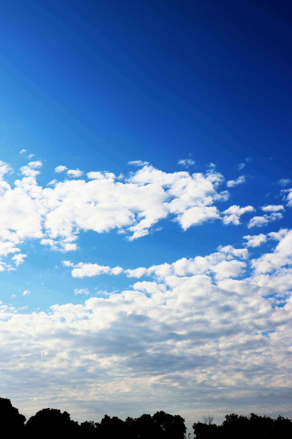 白い雲といくつかの木々のある青い空