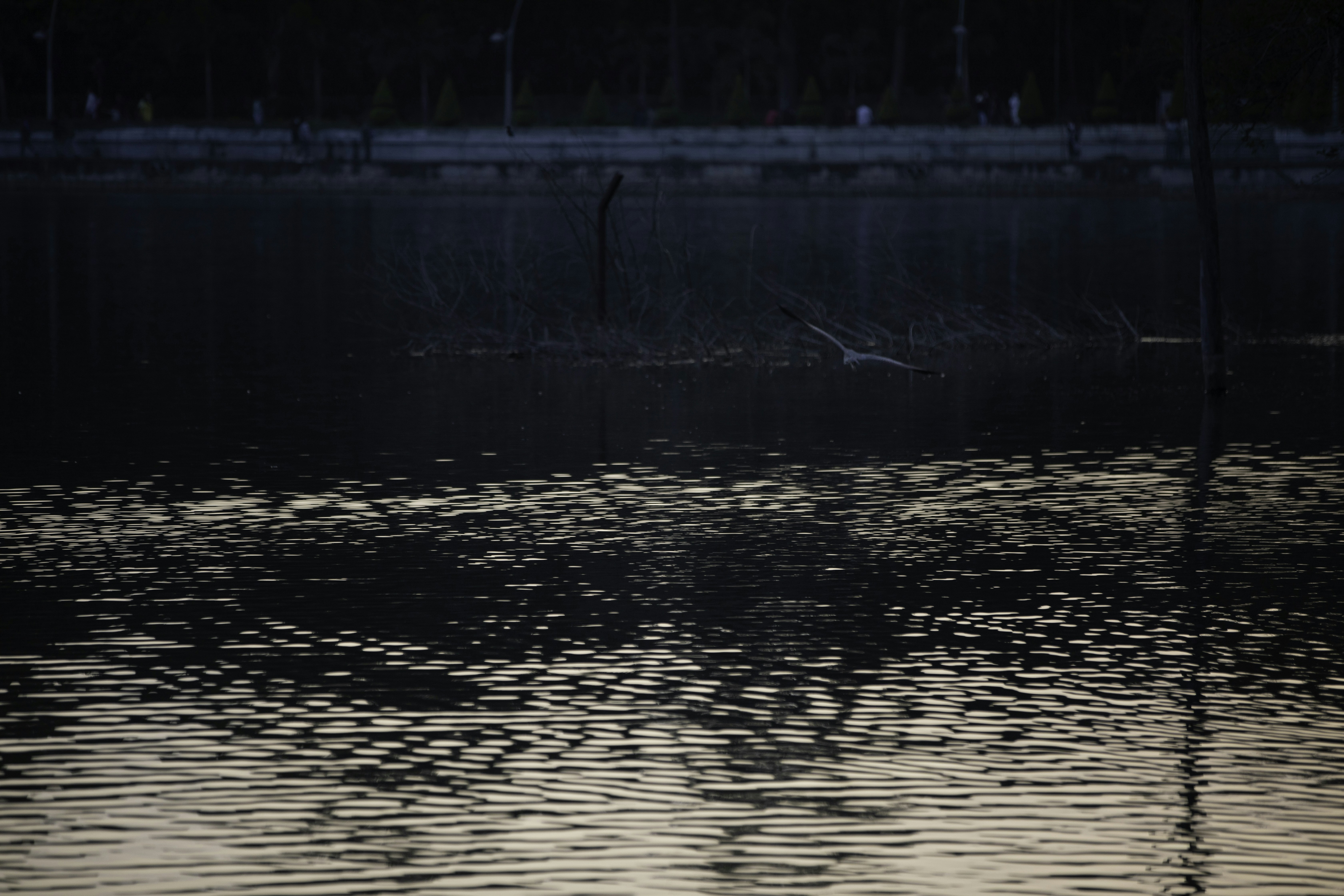 Photo by anil_sharma_india