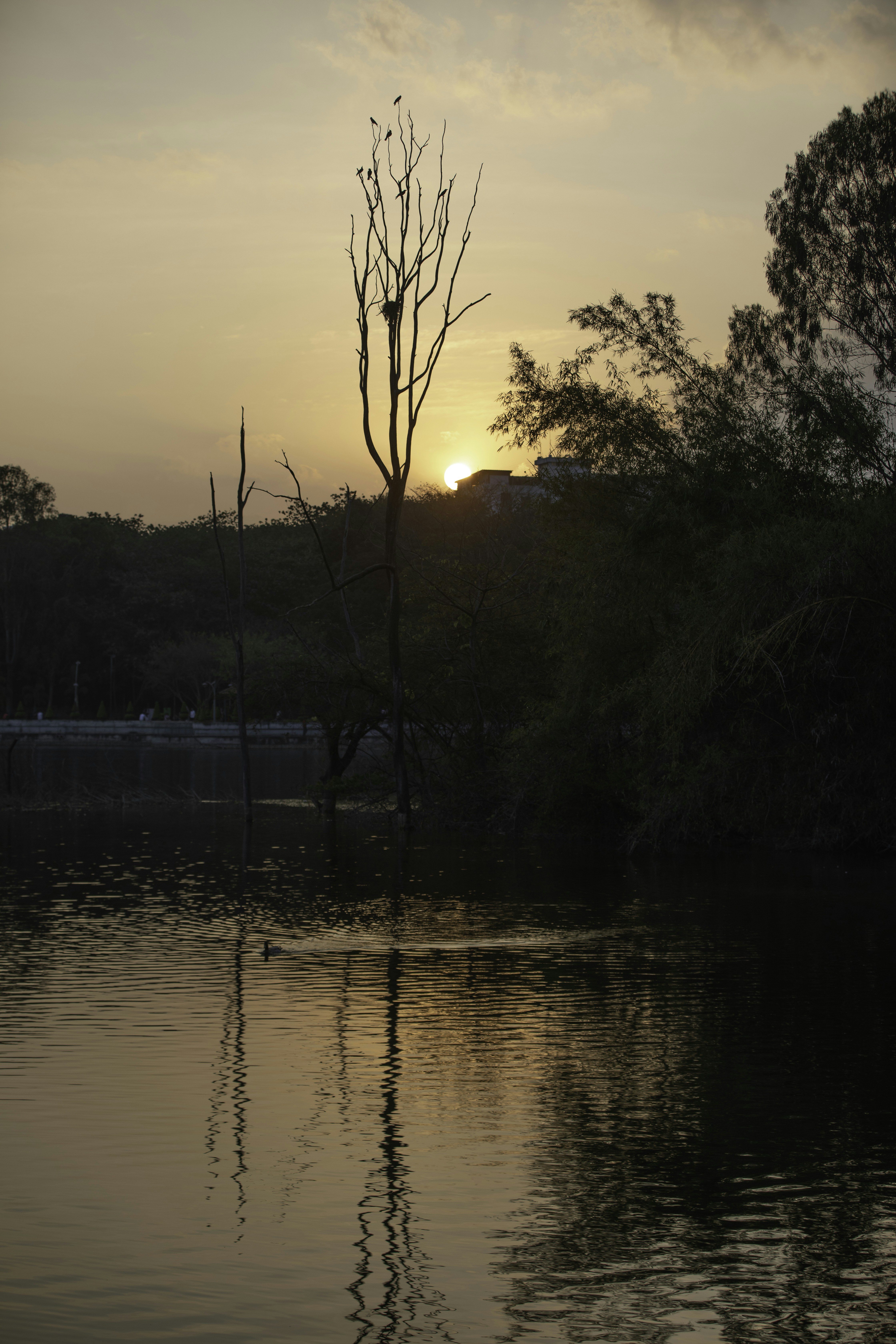 Photo by anil_sharma_india