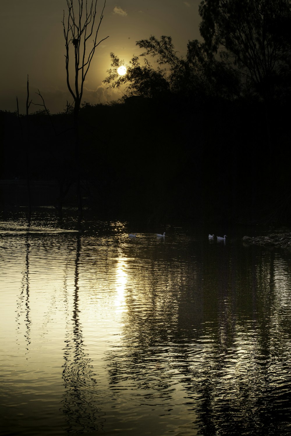 the sun is setting over a body of water