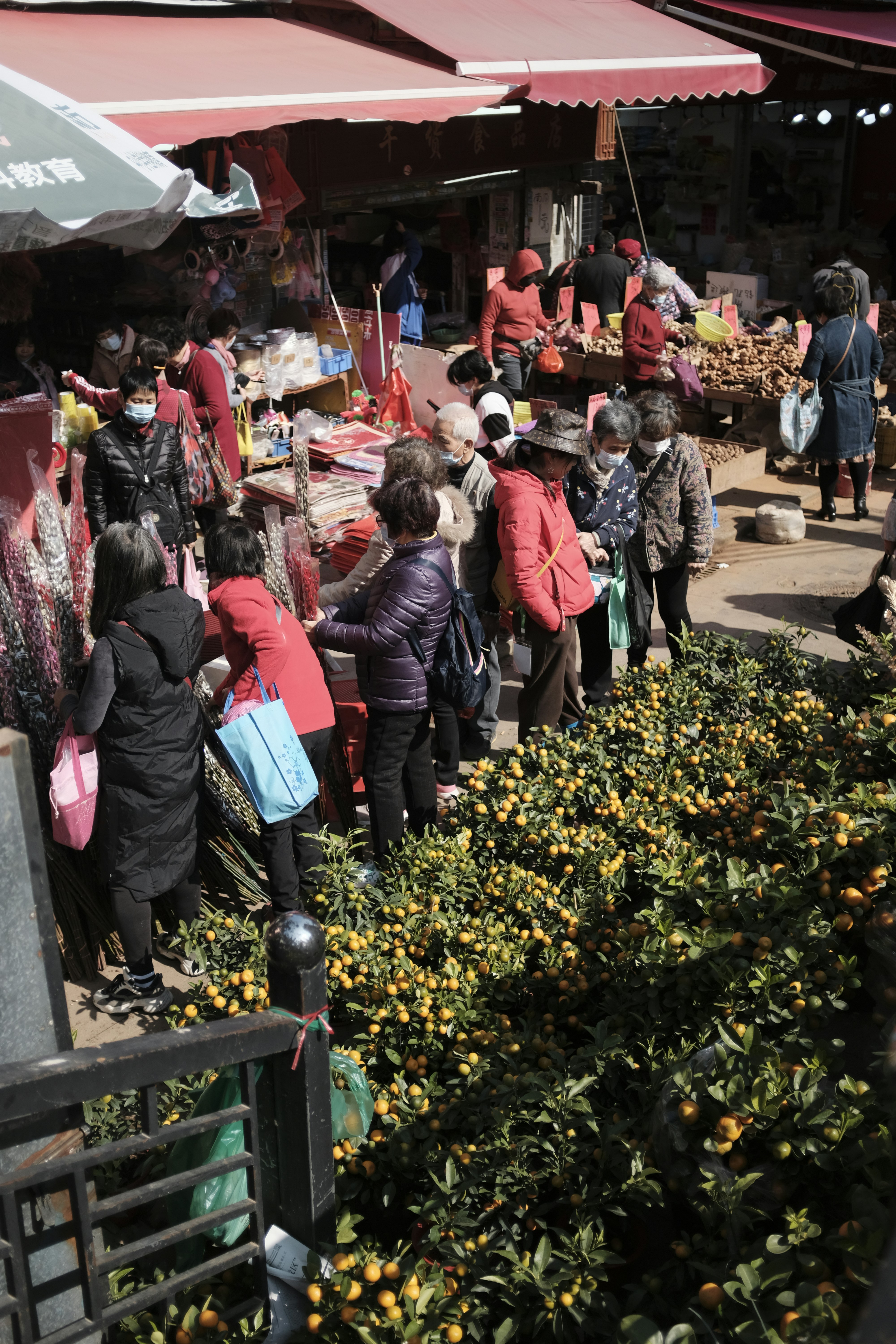 Photo by fanhuansheng