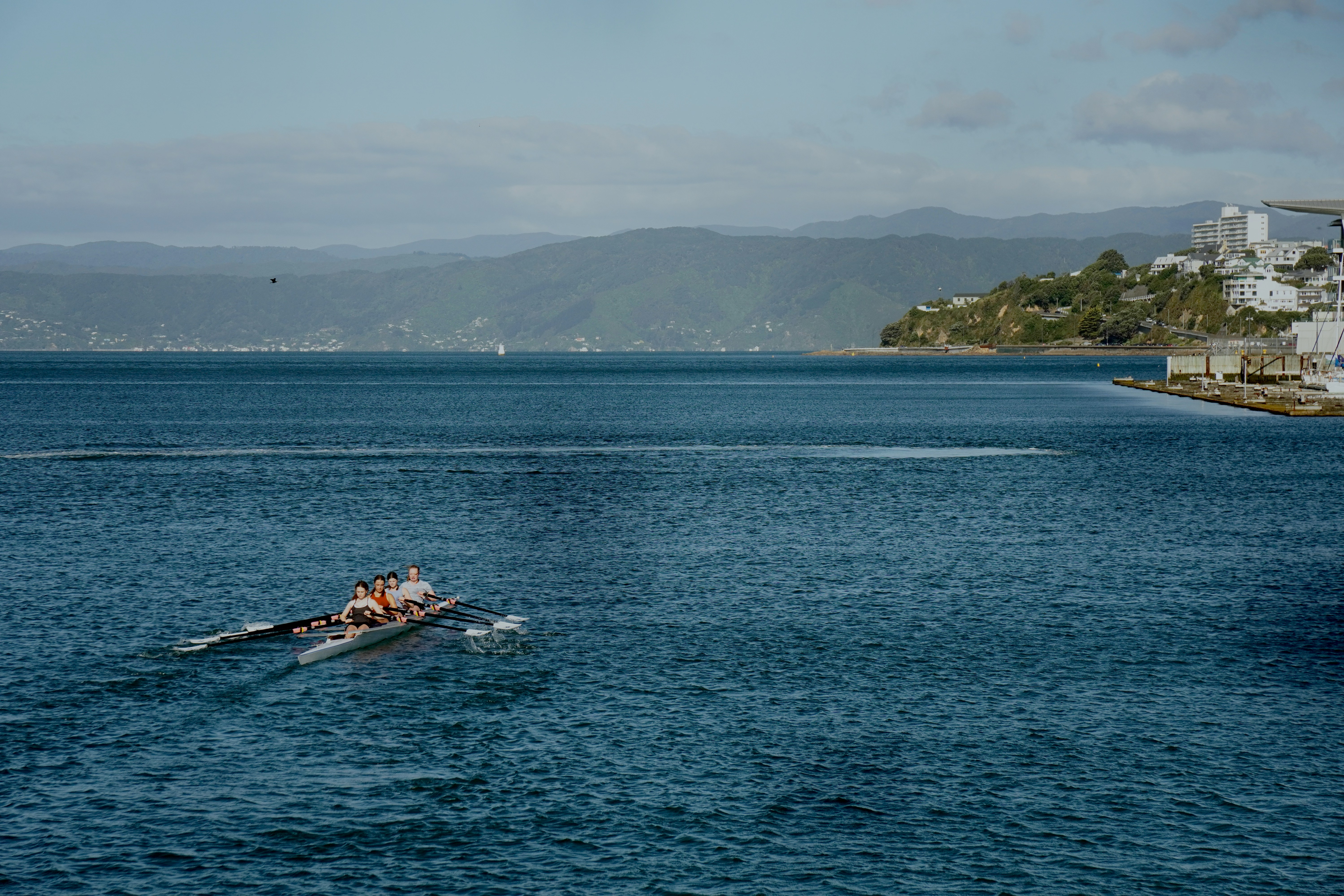 Exploring New Zealand: Your Guide to a 14-Day Cruise Adventure from Wellington to Tauranga and Fiordland