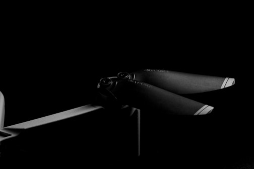 a black and white photo of a pair of scissors
