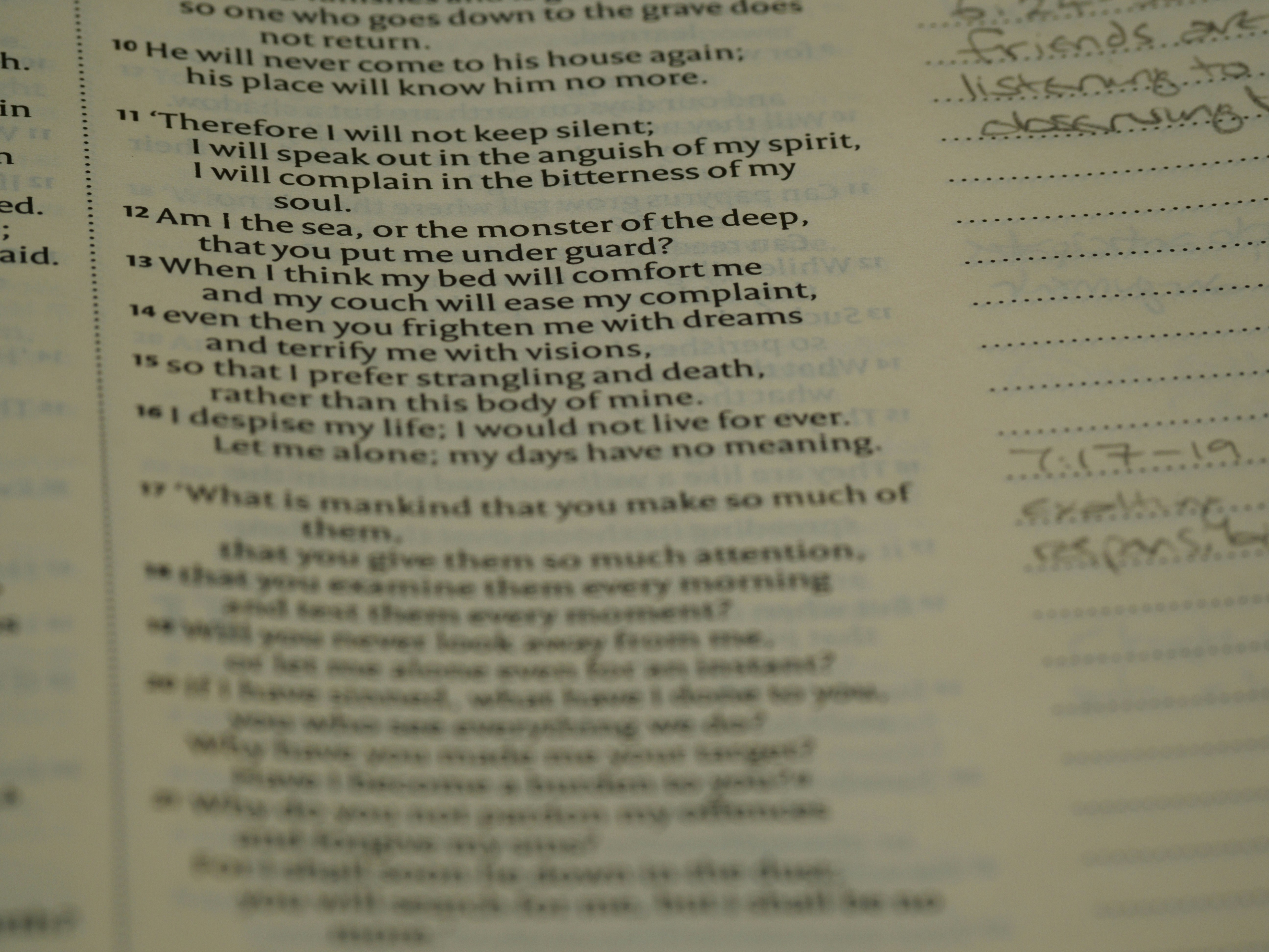 Photo by brett_jordan