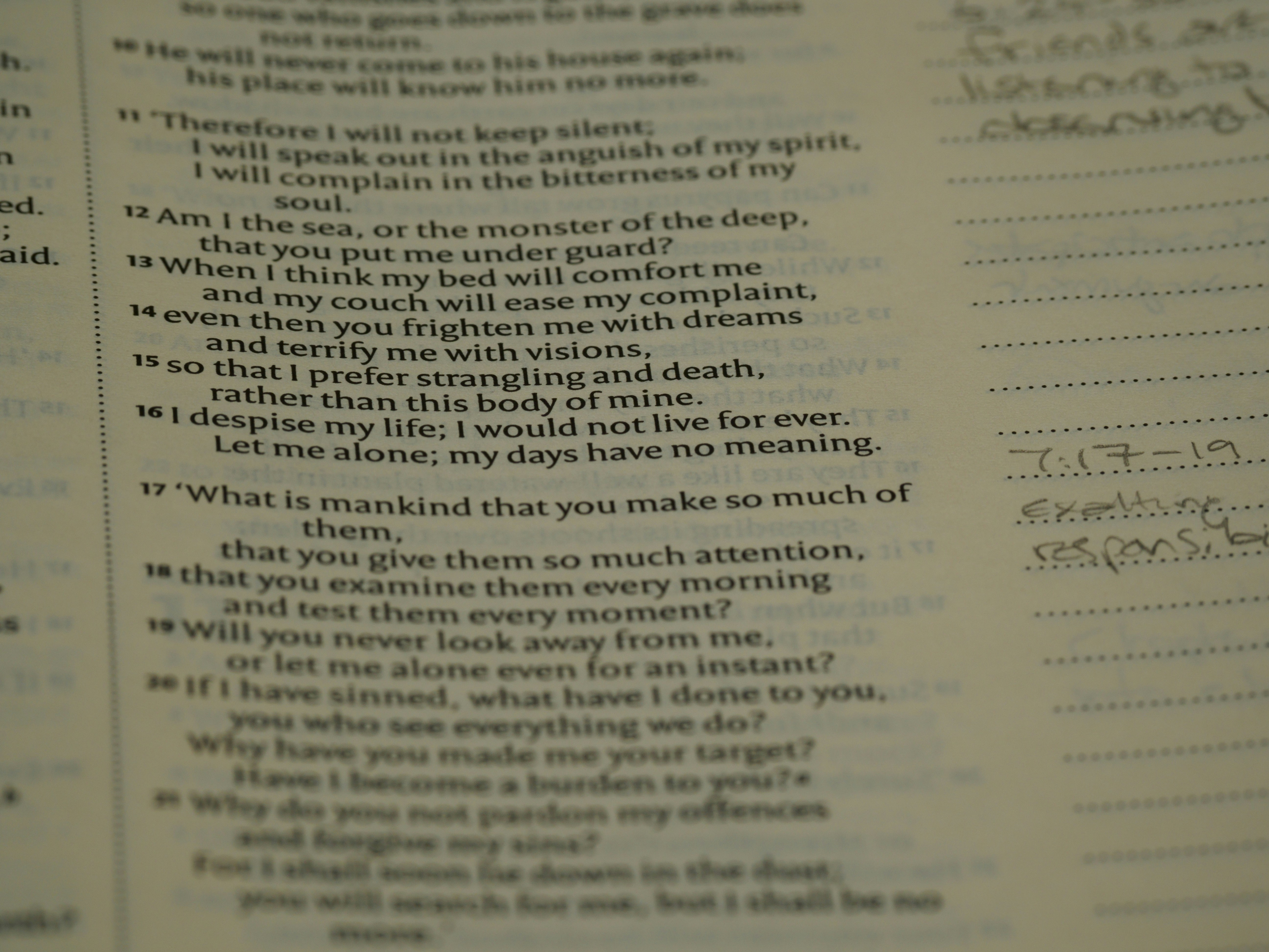 Photo by brett_jordan