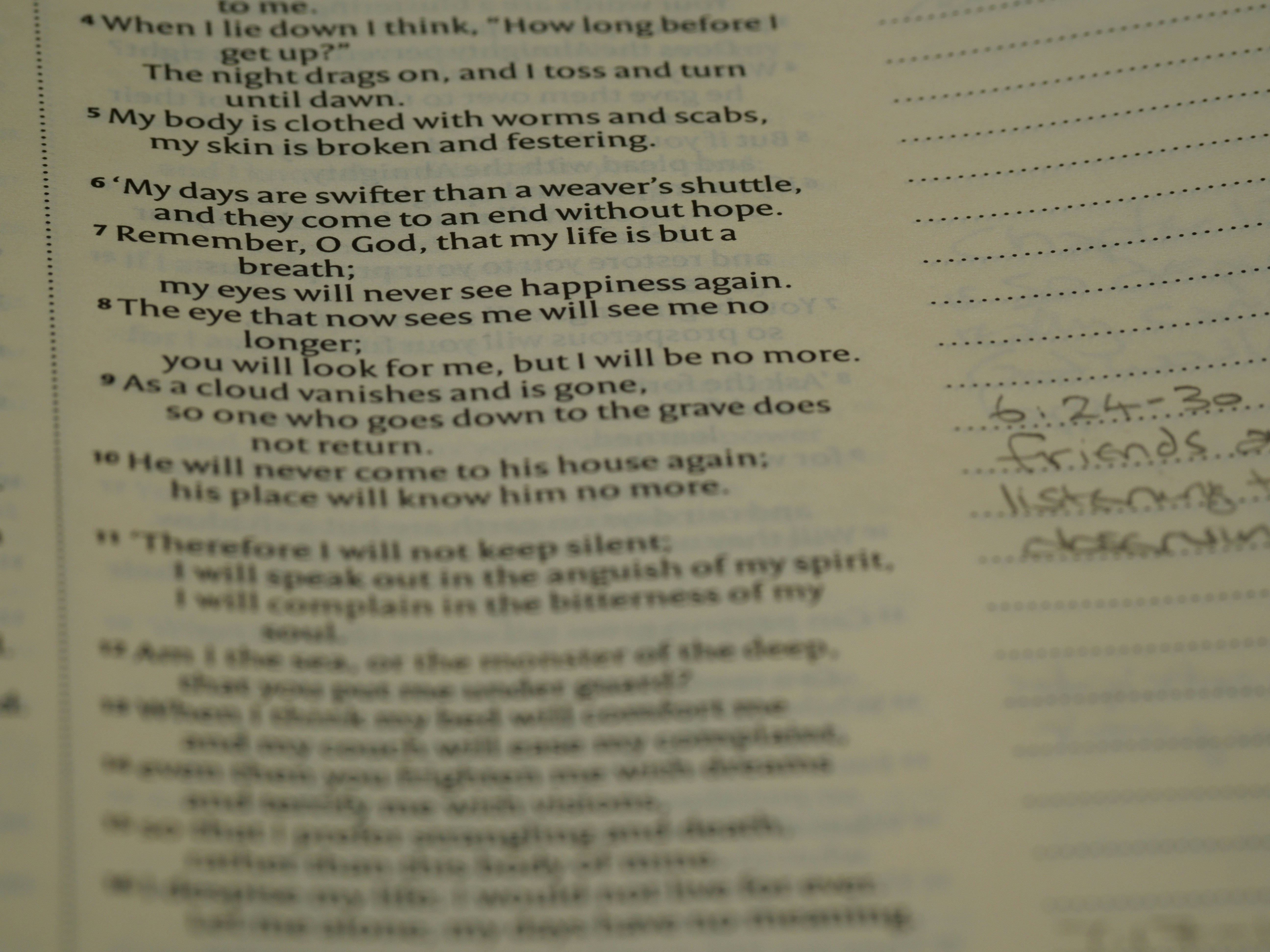 Photo by brett_jordan