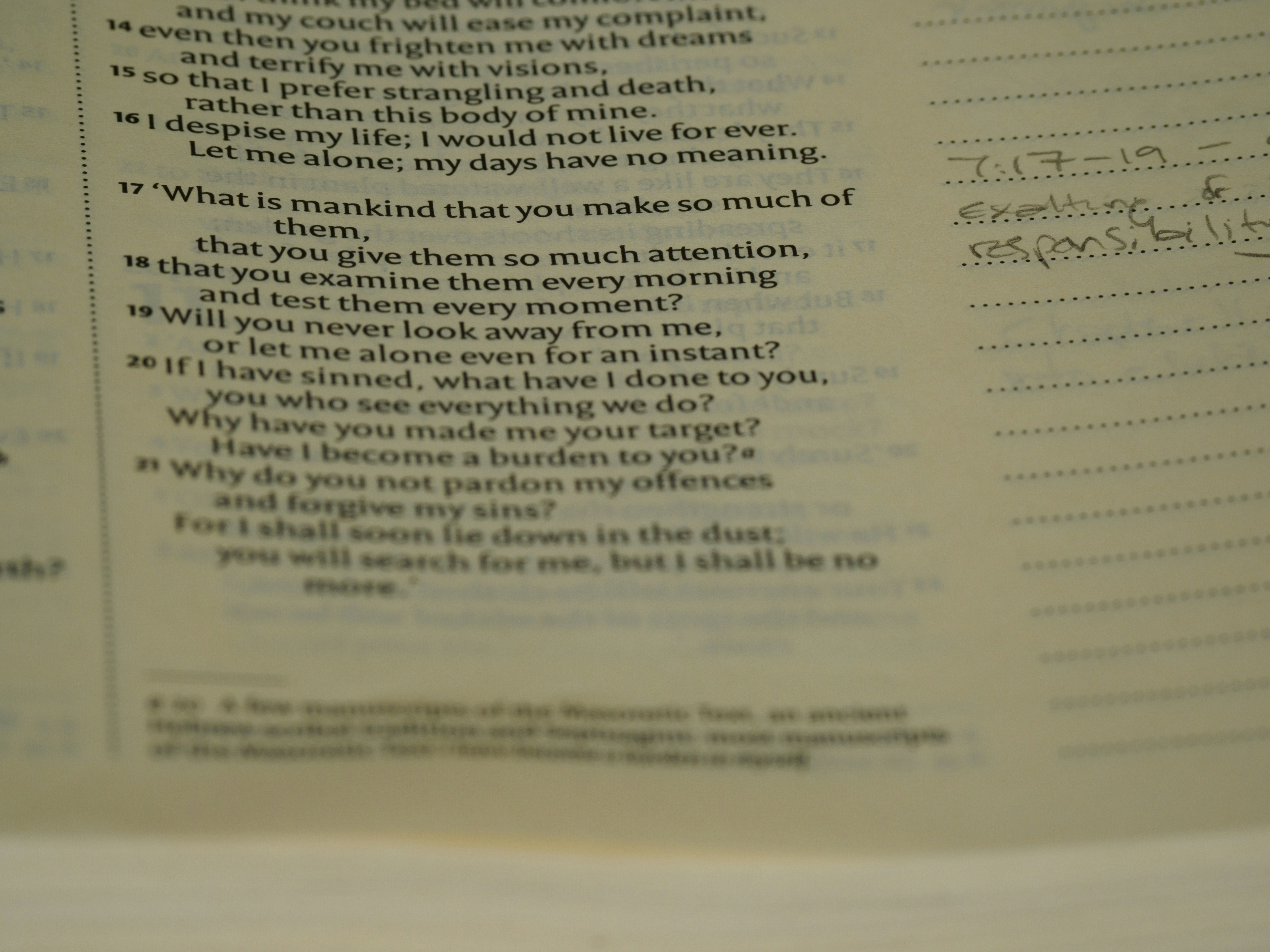 Photo by brett_jordan