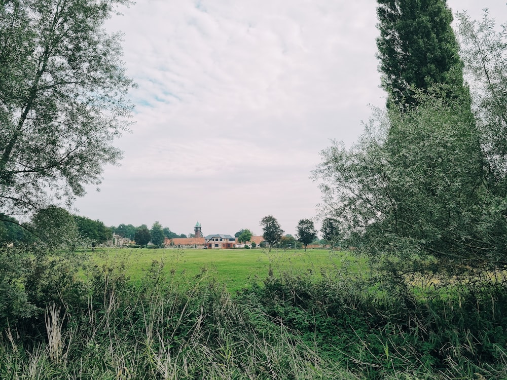 a field with trees and a building in the background