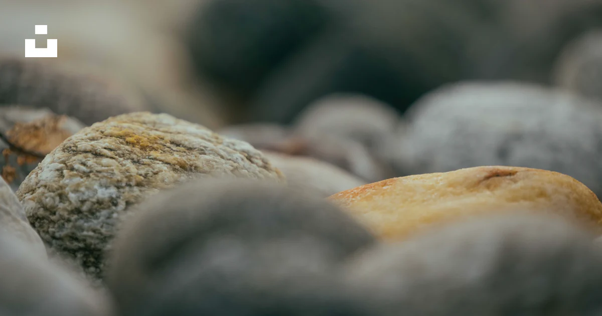 Blurry Background Rocks A close up of rocks with a blurry background photo – Free Food Image on ...
