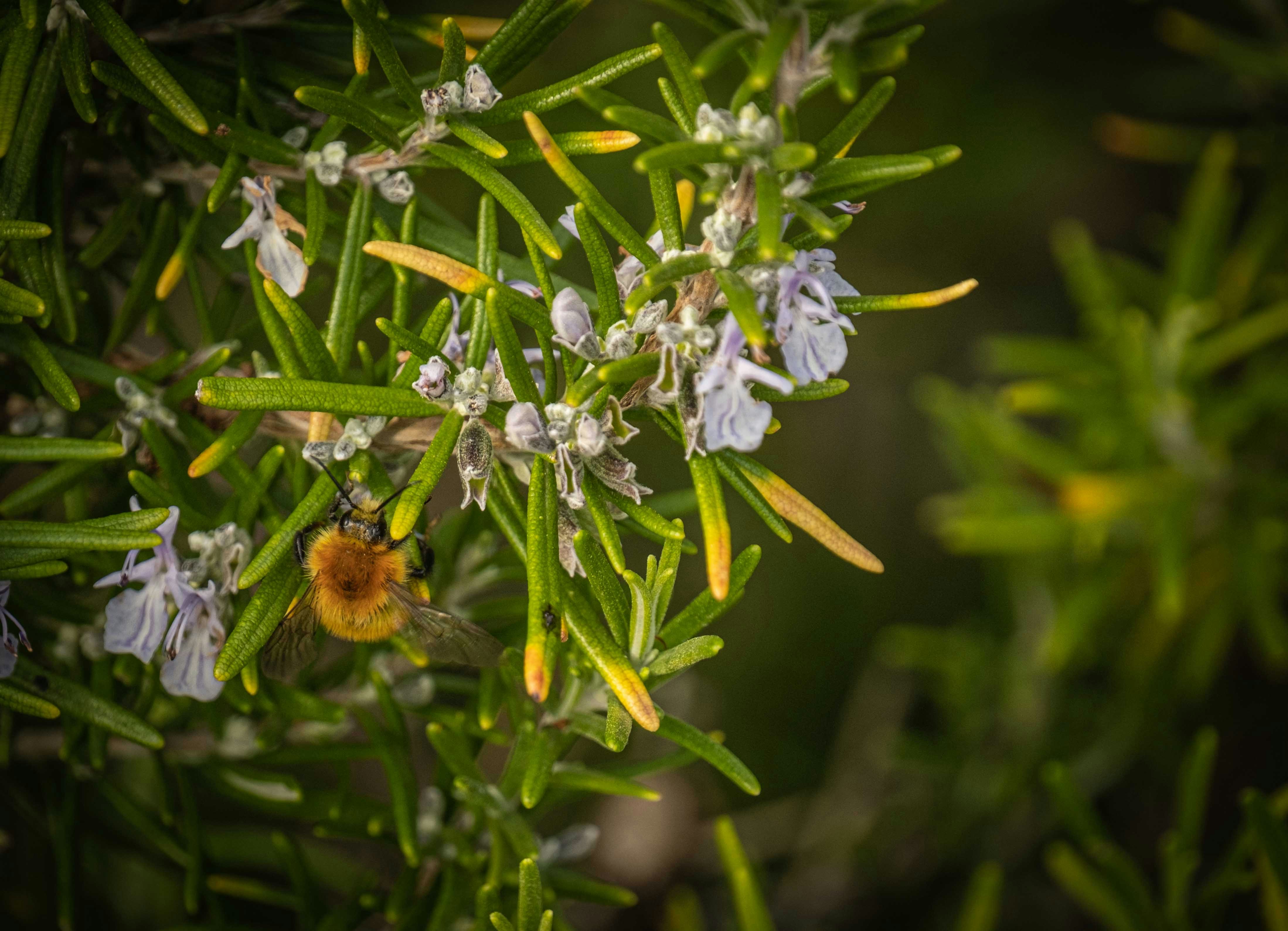 Photo by francesco_ungaro