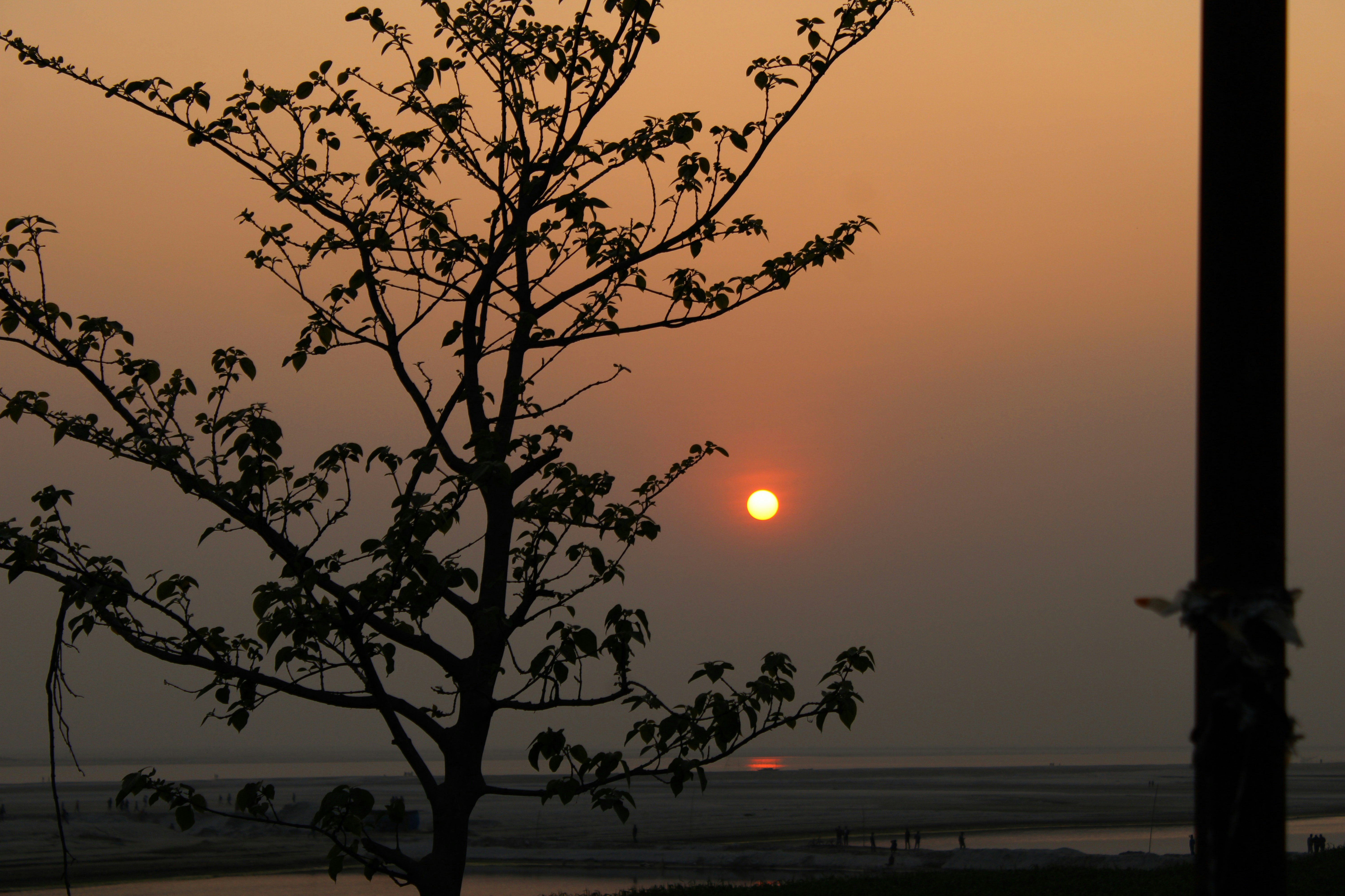 Photo by sifat_niloy