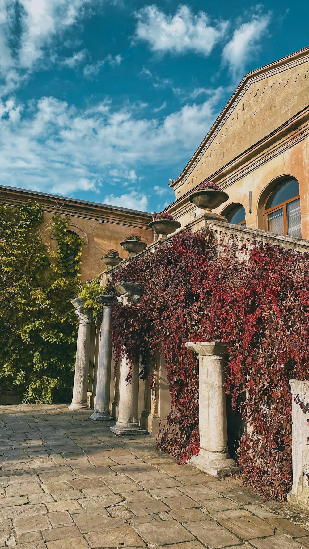 a building that has a bunch of vines growing on it