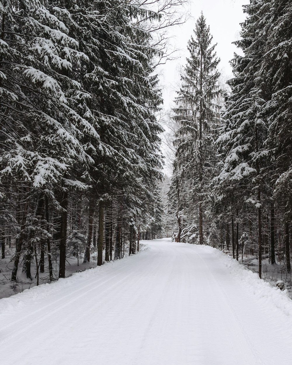 a snow covered road in the middle of a forest