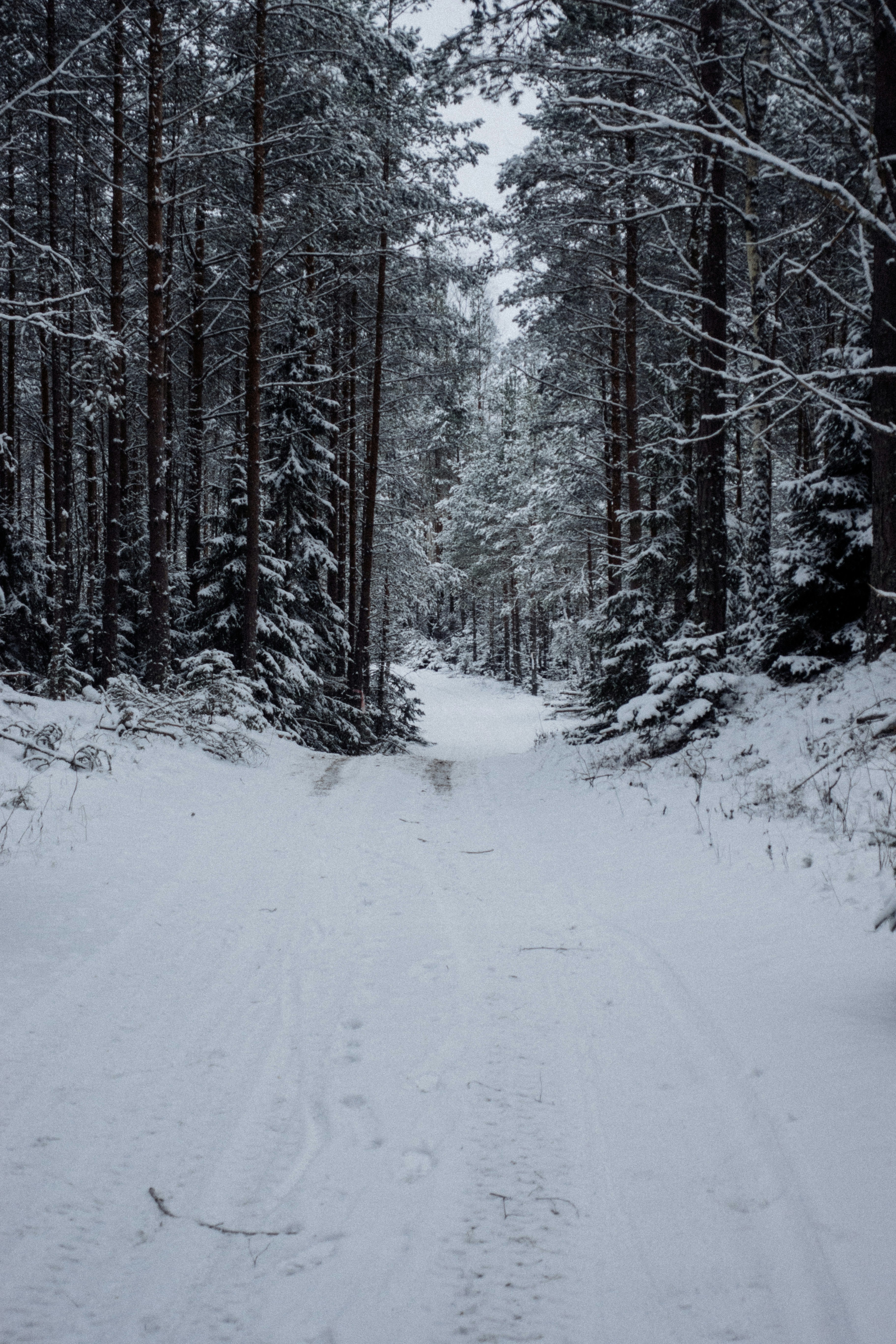 Photo by niklasveenhuis