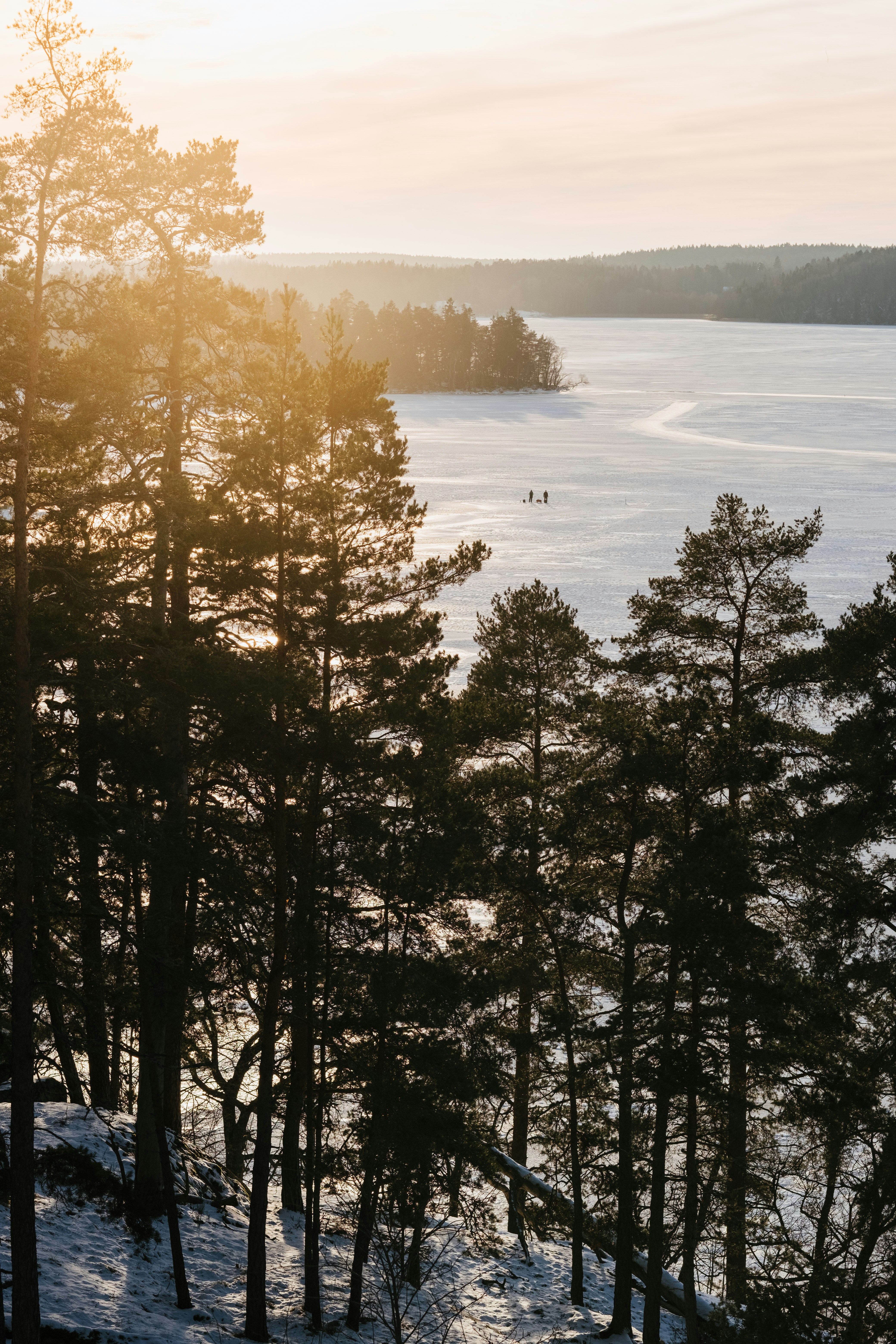 Photo by niklasveenhuis