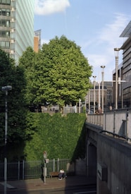 A large green tree and a wall covered in ivy dominate a bustling urban setting. A modern, glass-covered building and a street with people walking are visible in the background. A bench below the tree hosts a person relaxing, while a staircase and street lamps enhance the urban aesthetic.