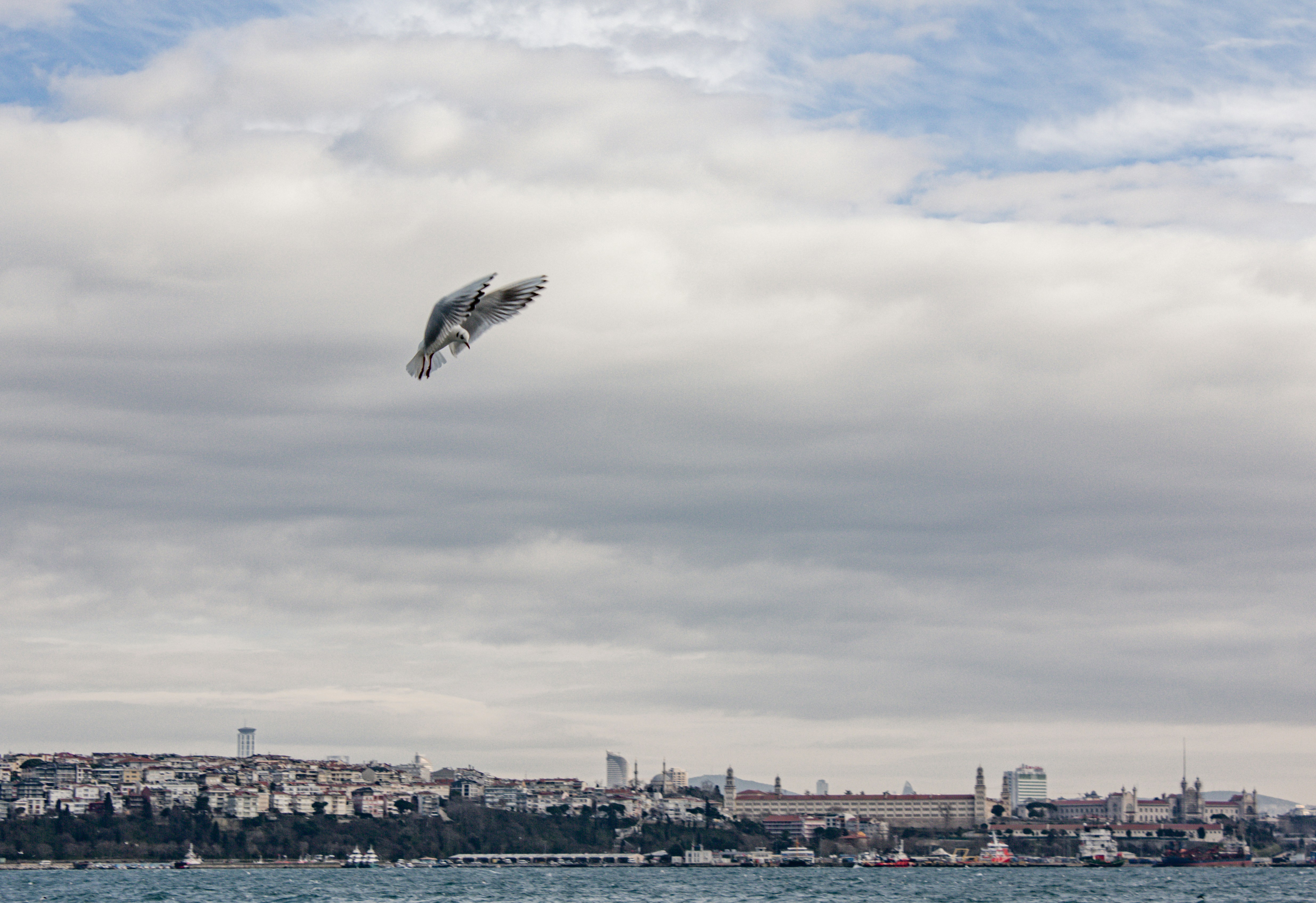 Photo by sam_badmaeva