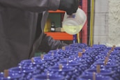 Artisan gently pouring liquid wax into molds for solid wax melts.